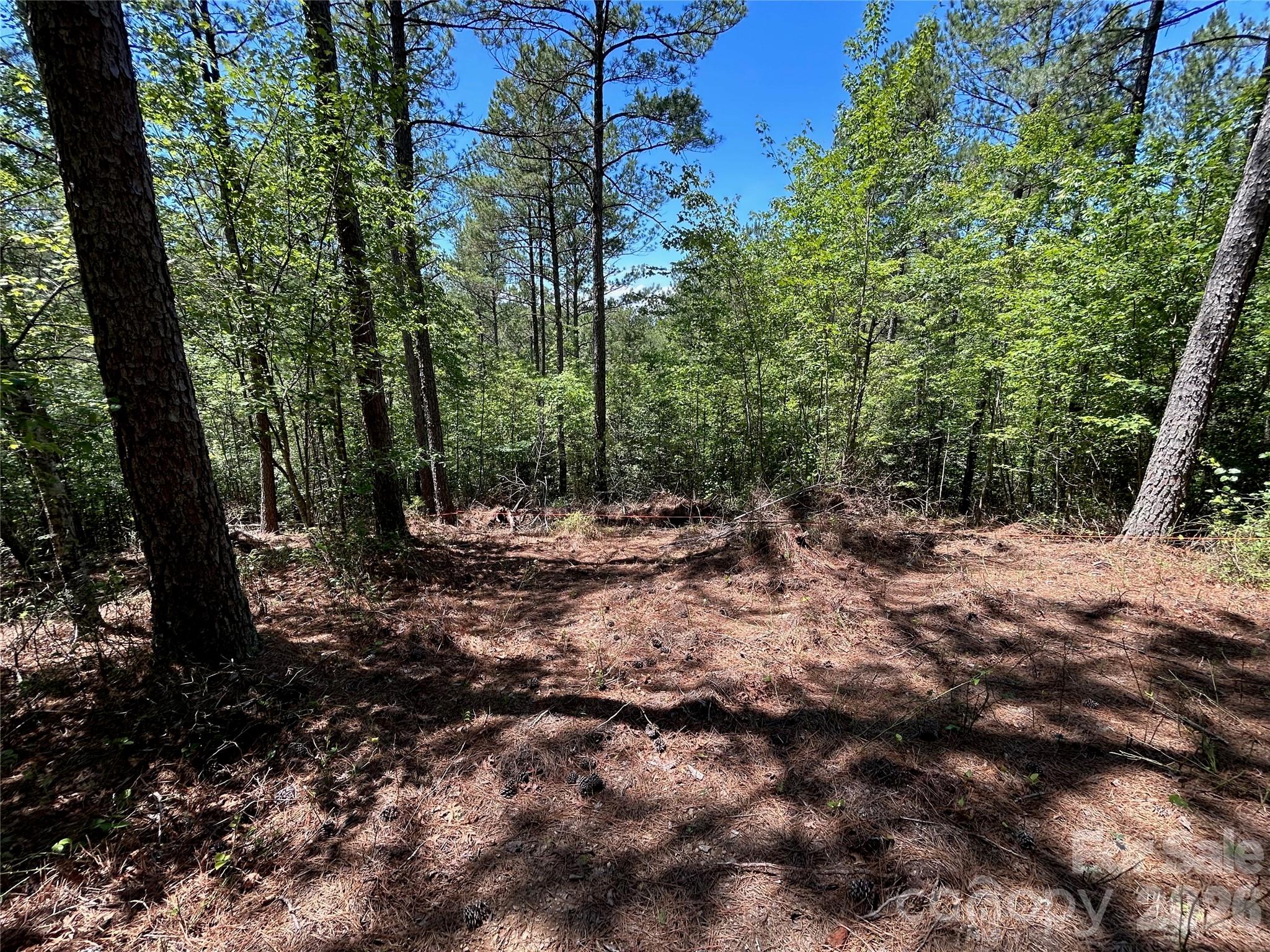 1175 Hidden Cove Lane Property Photo 2