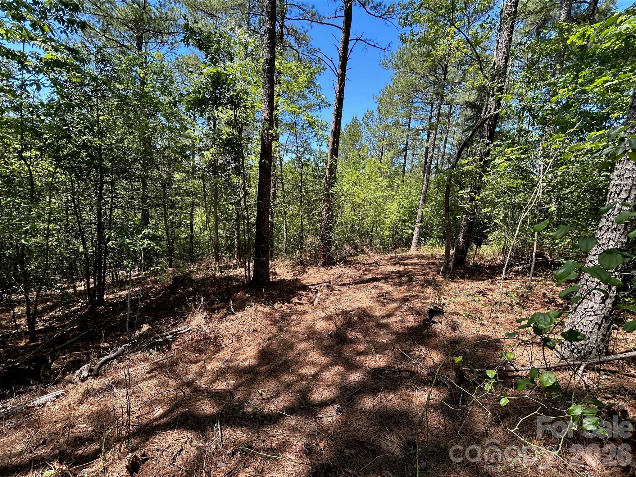 1175 Hidden Cove Lane Property Photo 3