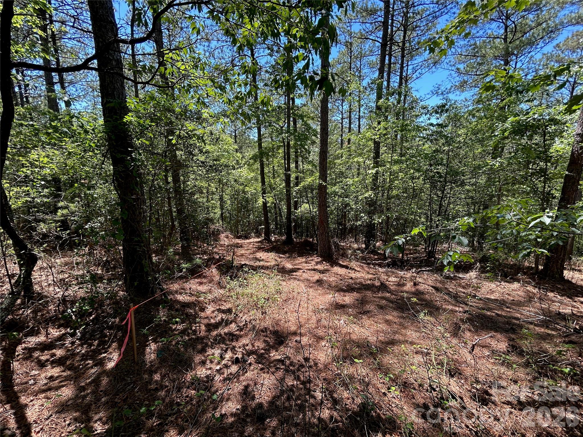 1175 Hidden Cove Lane Property Photo 7