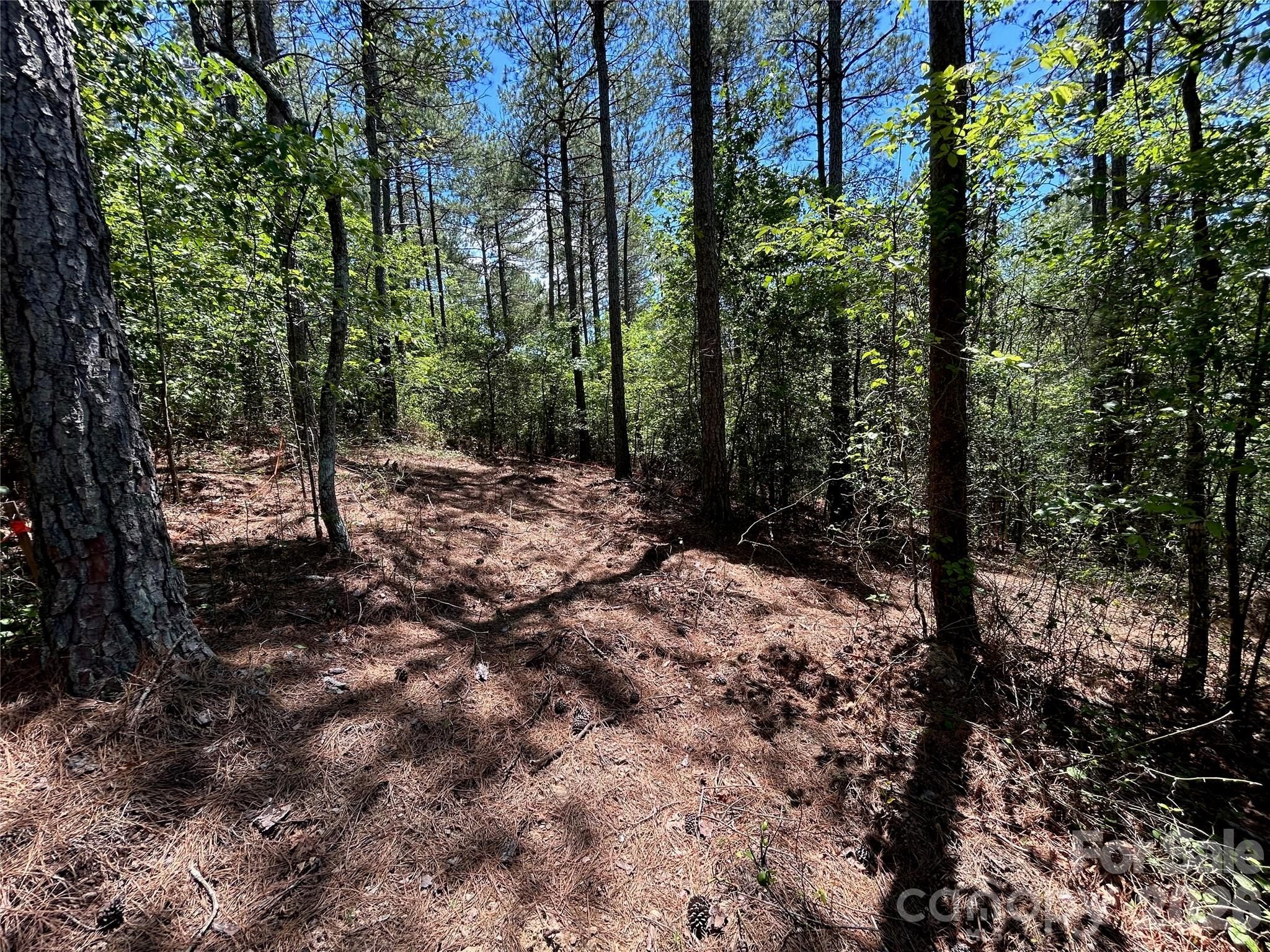1175 Hidden Cove Lane Property Photo 8