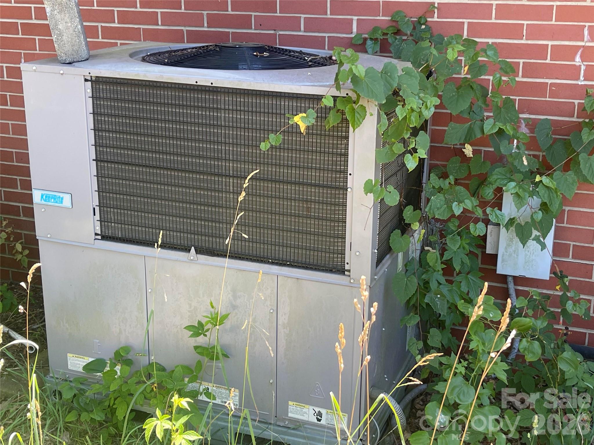 1143 Tyre Drive Property Photo 12