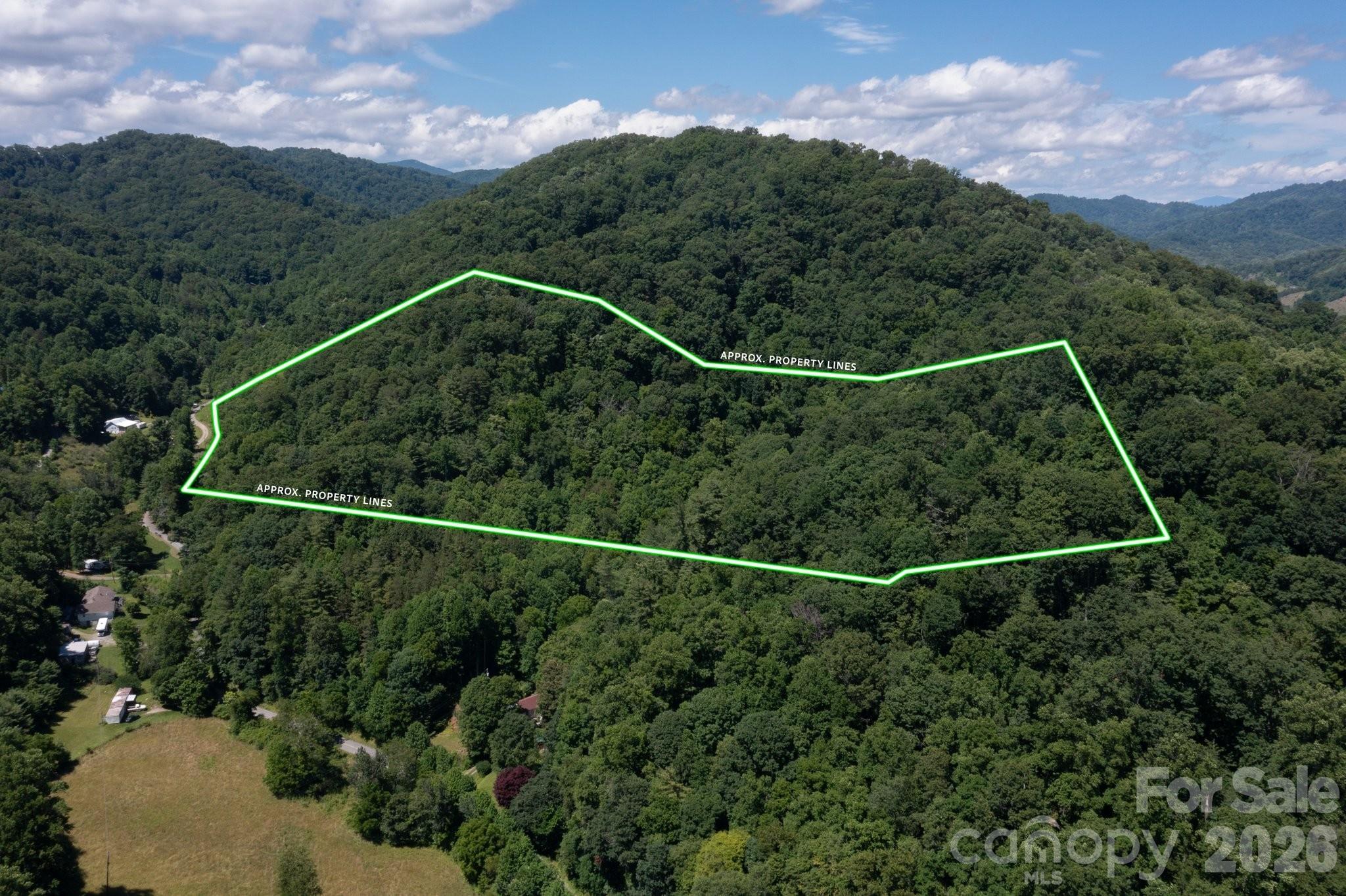 TBD Wooded Mountain Trail Tract 1 Property Photo 1