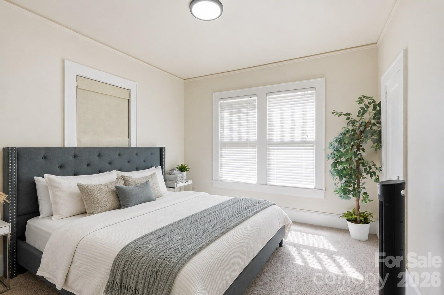 209 Grandin Road Property Photo 18