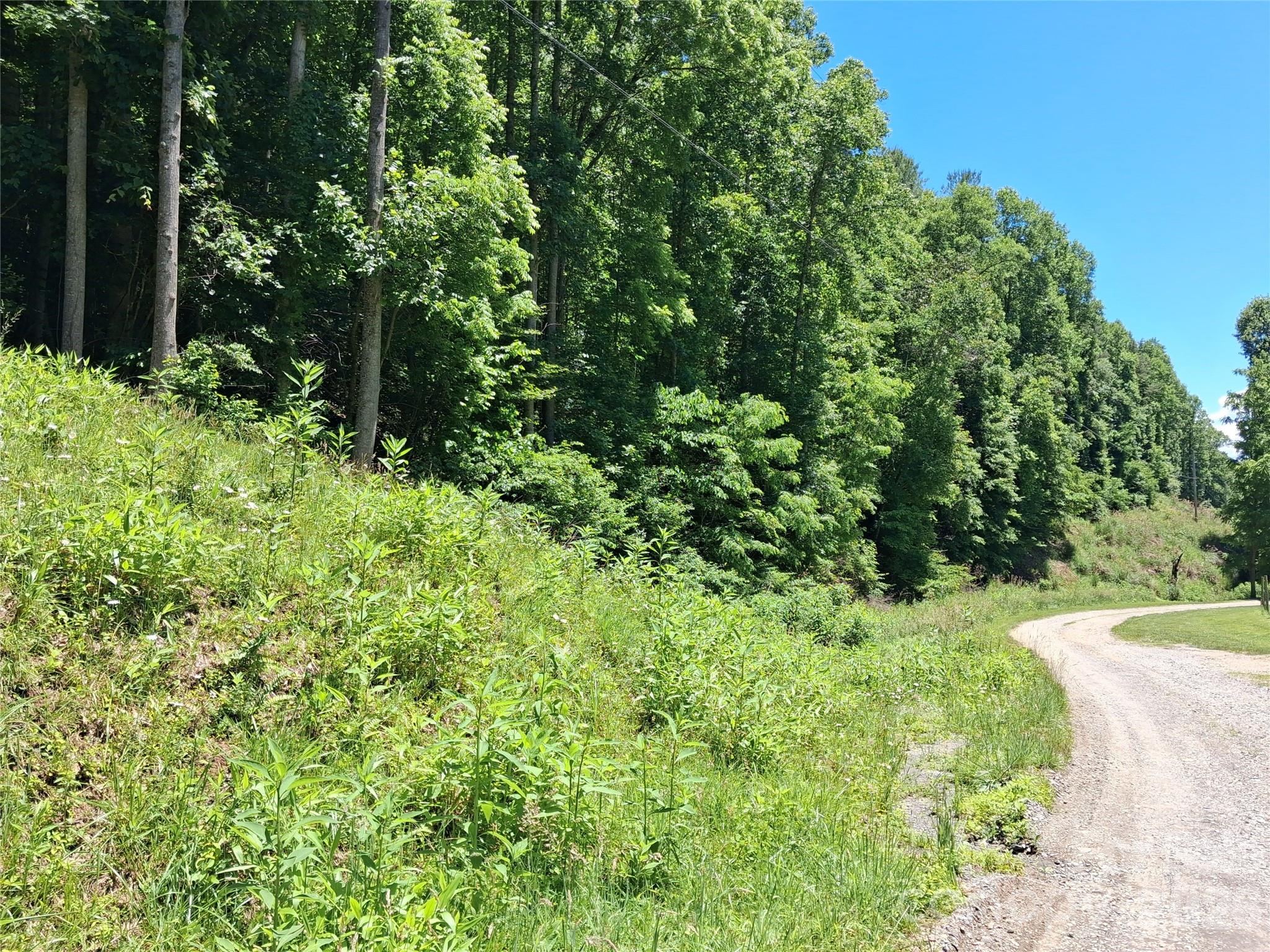 Tbd Wooded Mountain Trail Tract 2 Property Photo 3