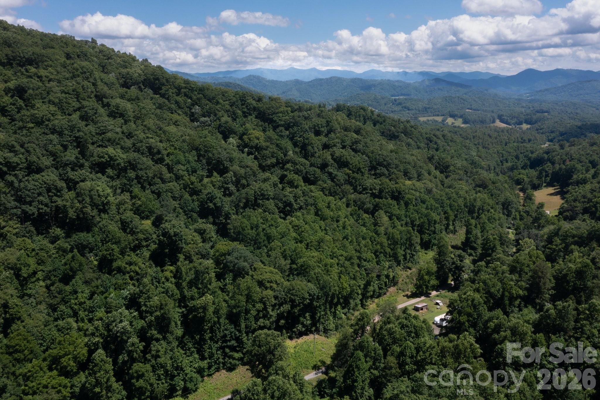 Tbd Wooded Mountain Trail Tract 2 Property Photo 5