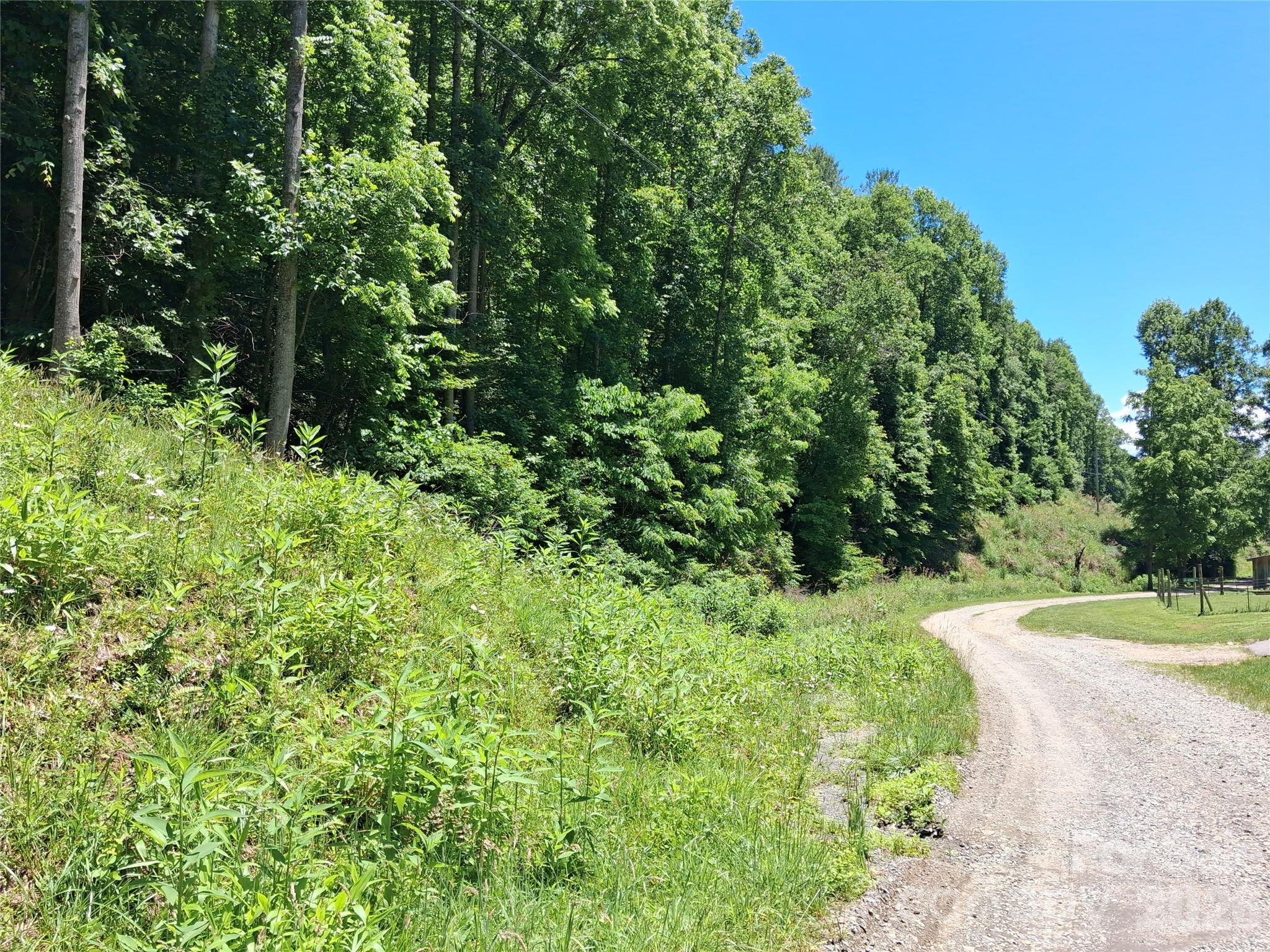 Tbd Wooded Mountain Trail Tract 2 Property Photo 6