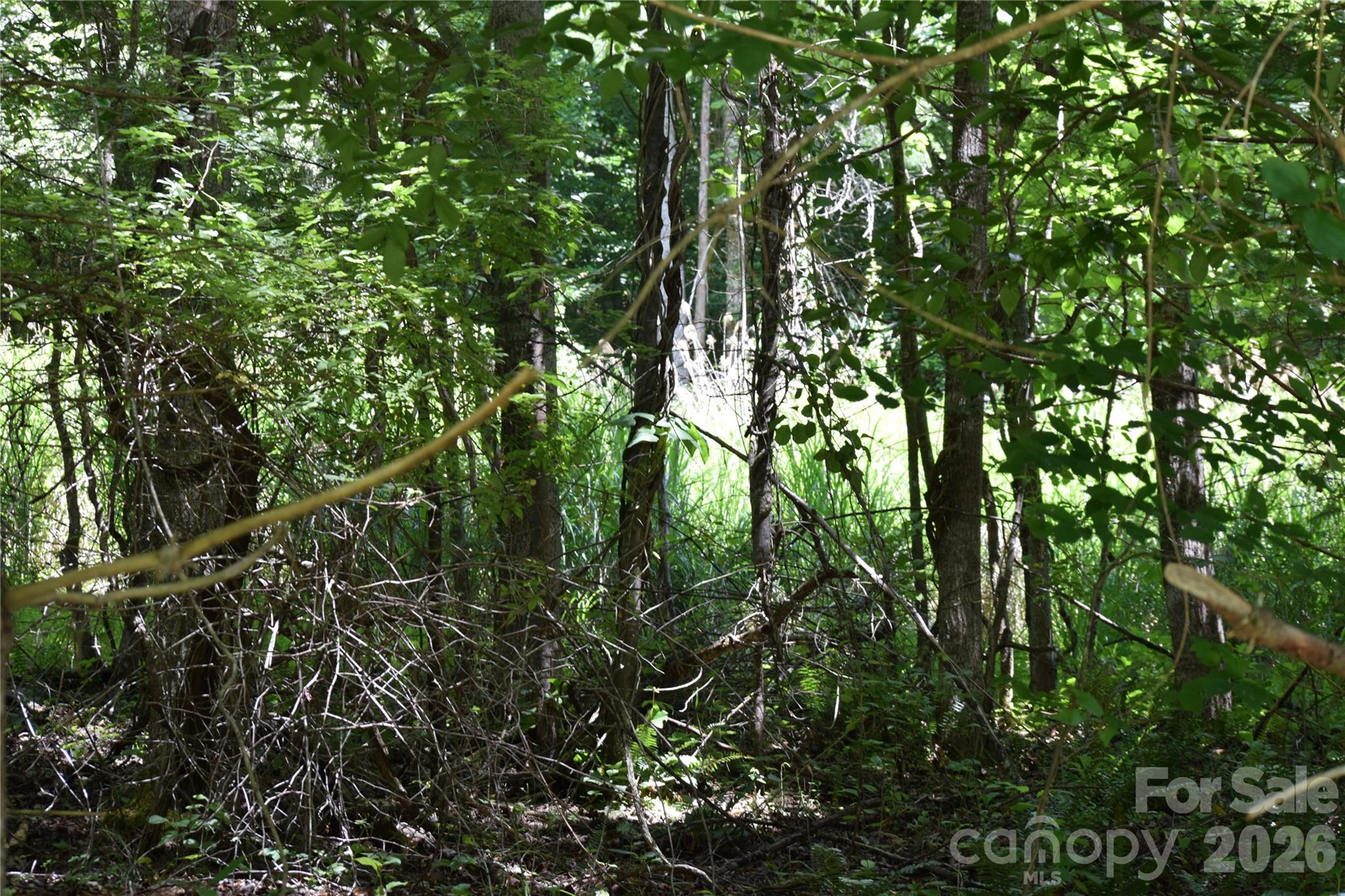 Tbd Wooded Mountain Trail Tract 2 Property Photo 10