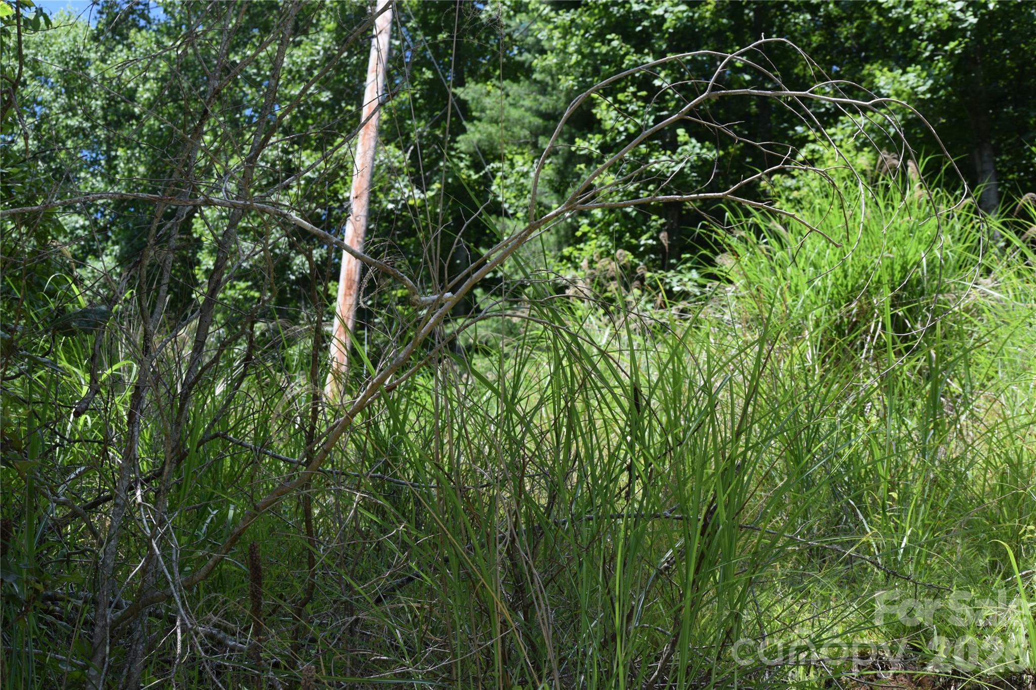 Tbd Wooded Mountain Trail Tract 2 Property Photo 12