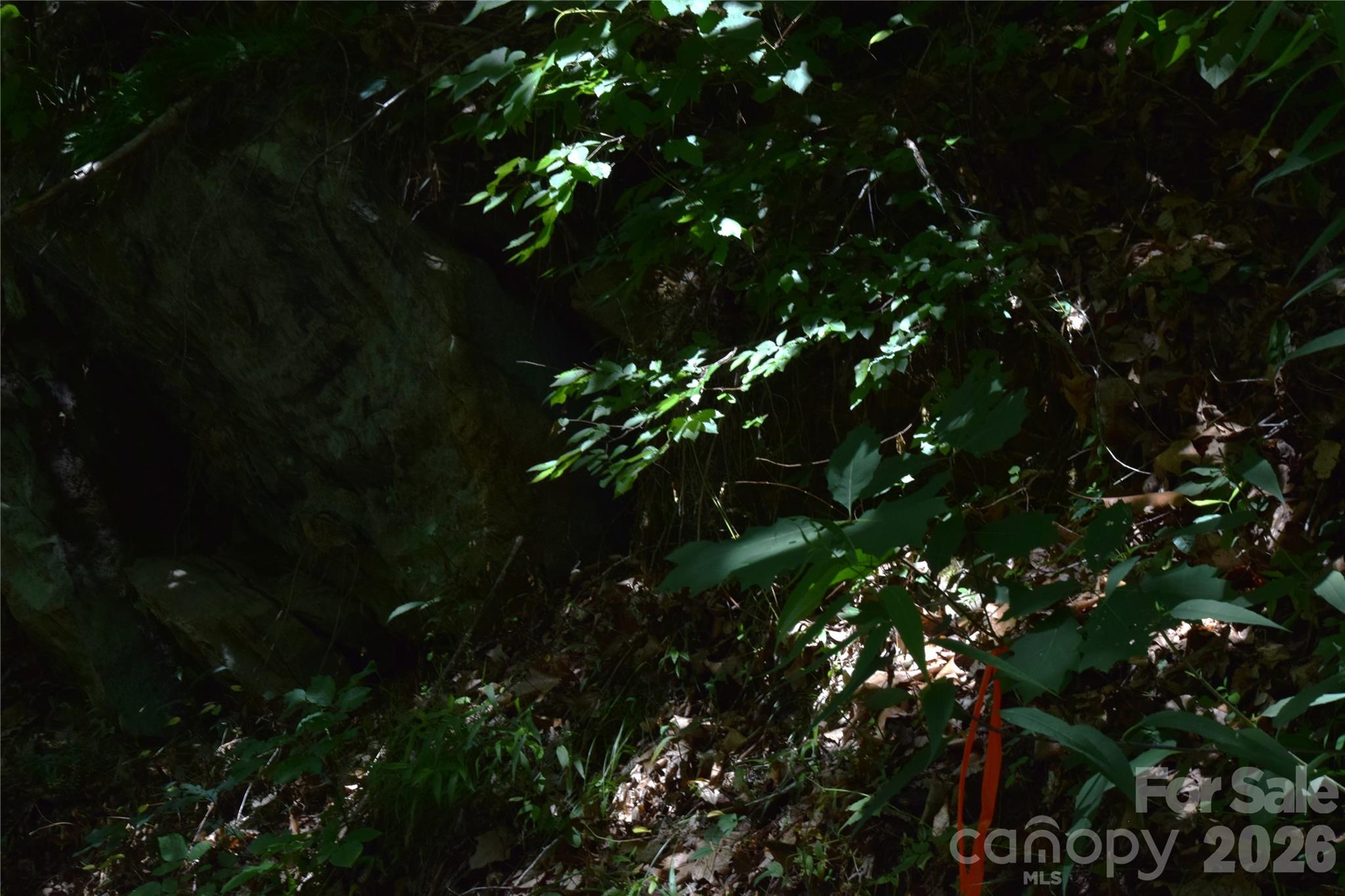 Tbd Wooded Mountain Trail Tract 2 Property Photo 14