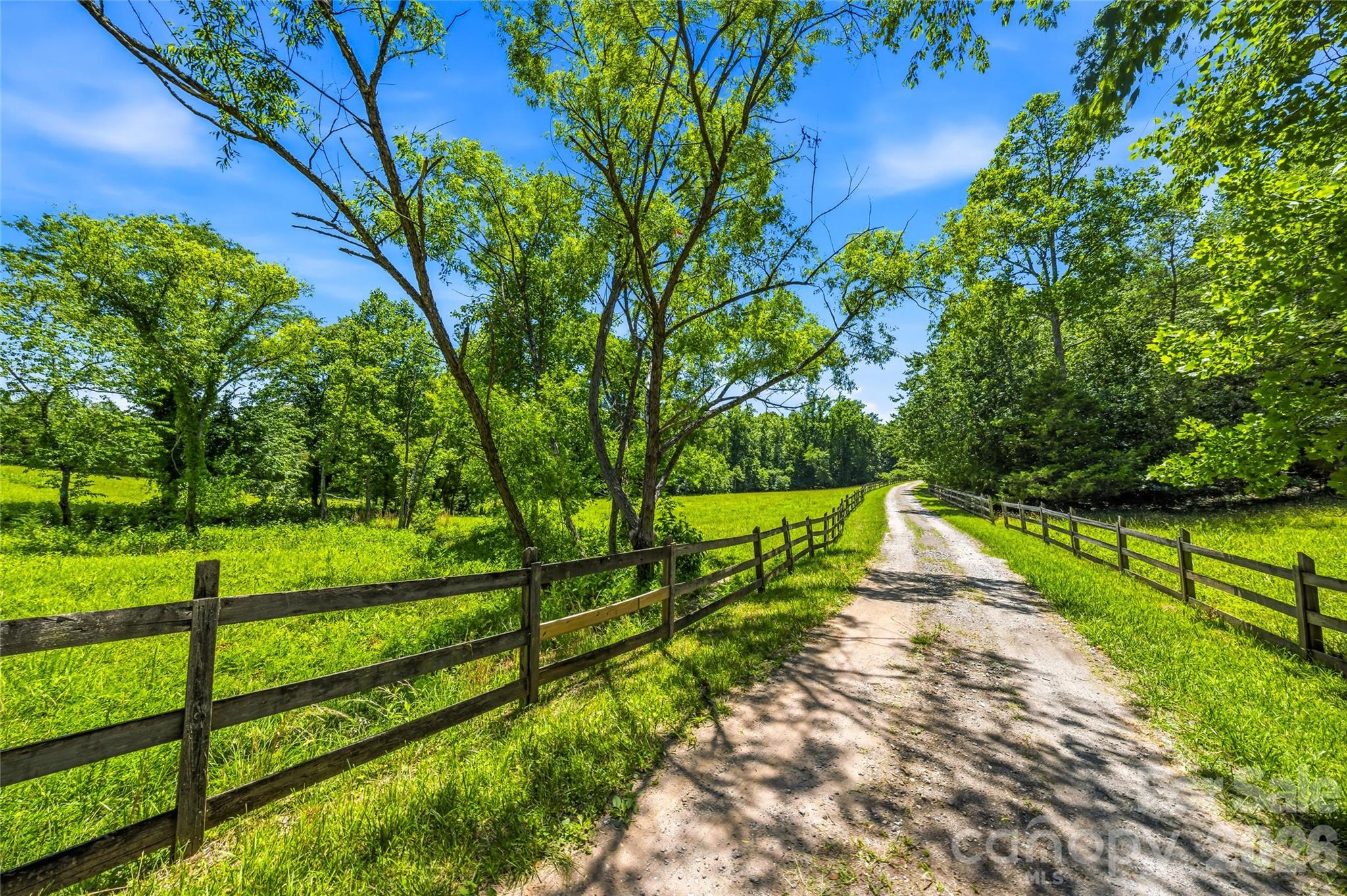 3012 Polk County Line Road Property Photo 20