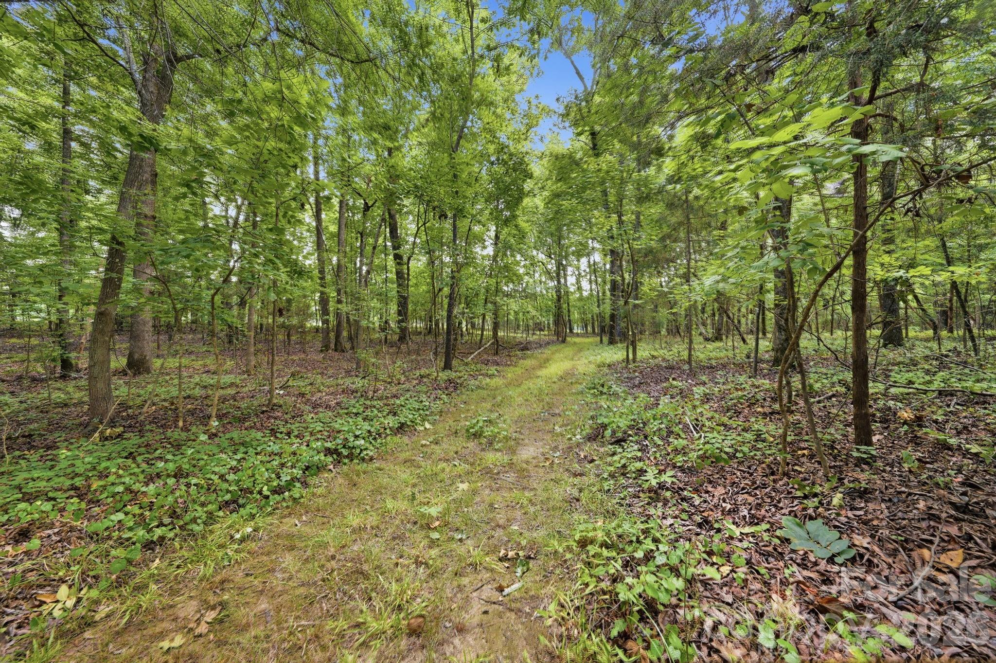 2545 N Rocky River Road Property Photo 46