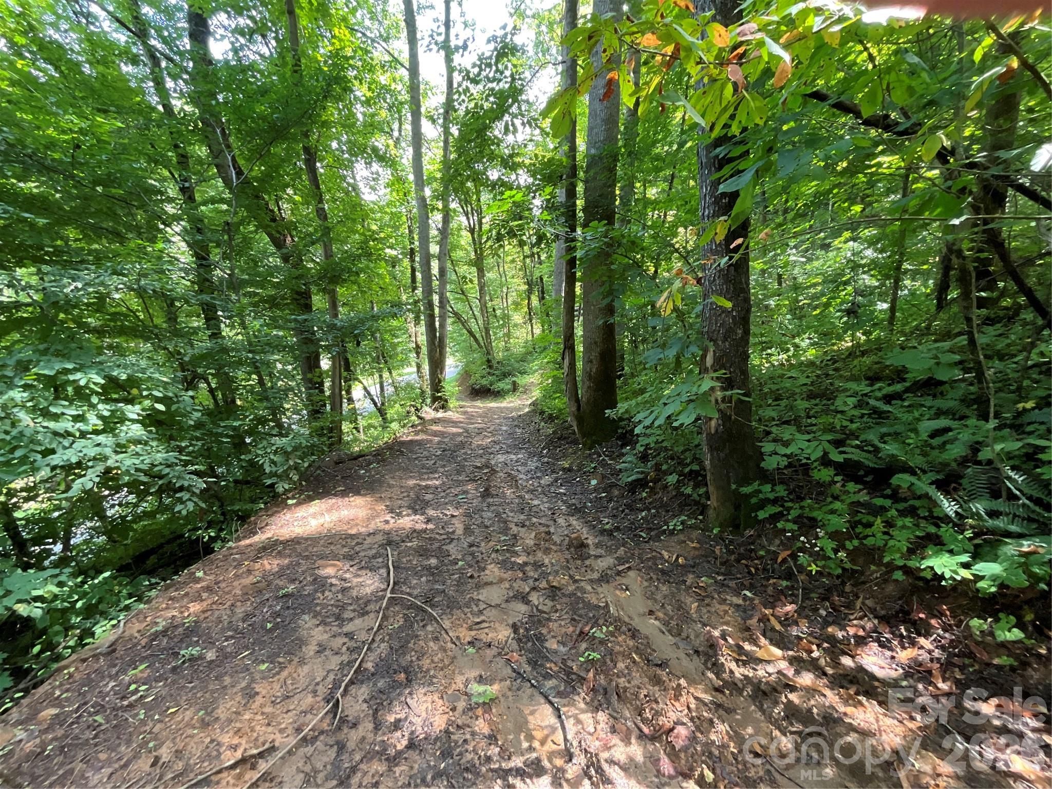 618 Dark Ridge Road Property Photo 4