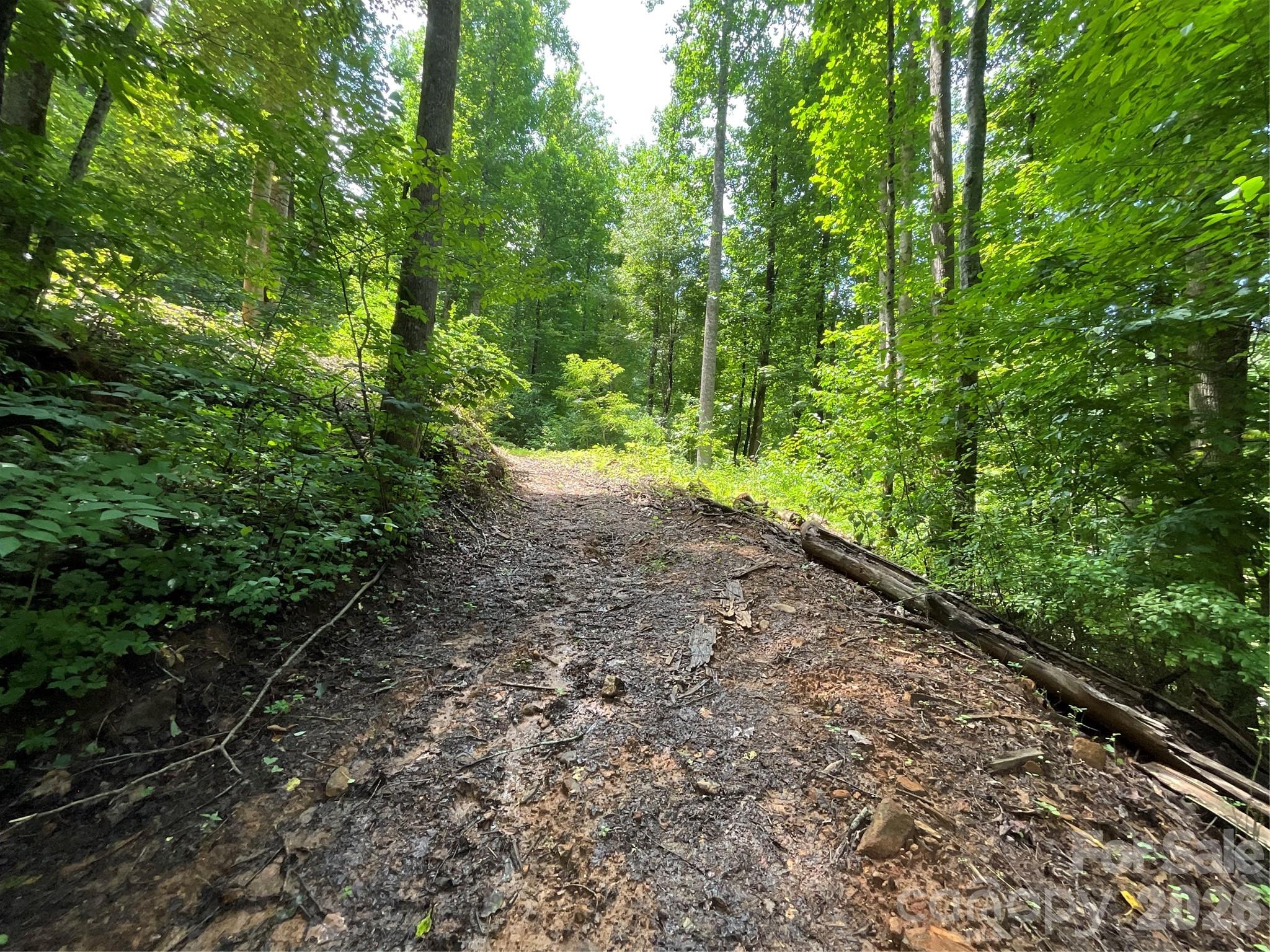 618 Dark Ridge Road Property Photo 5