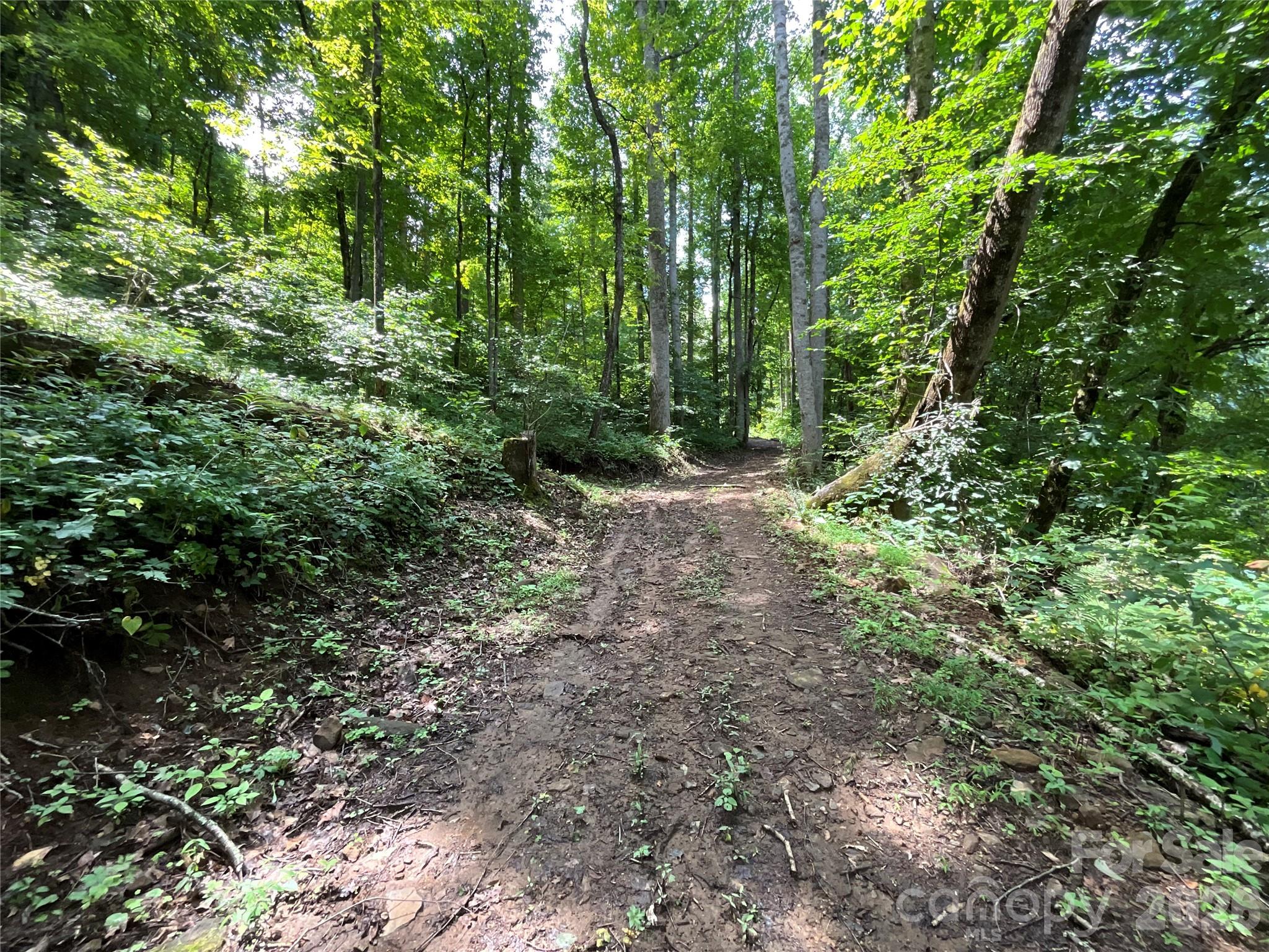 618 Dark Ridge Road Property Photo 7