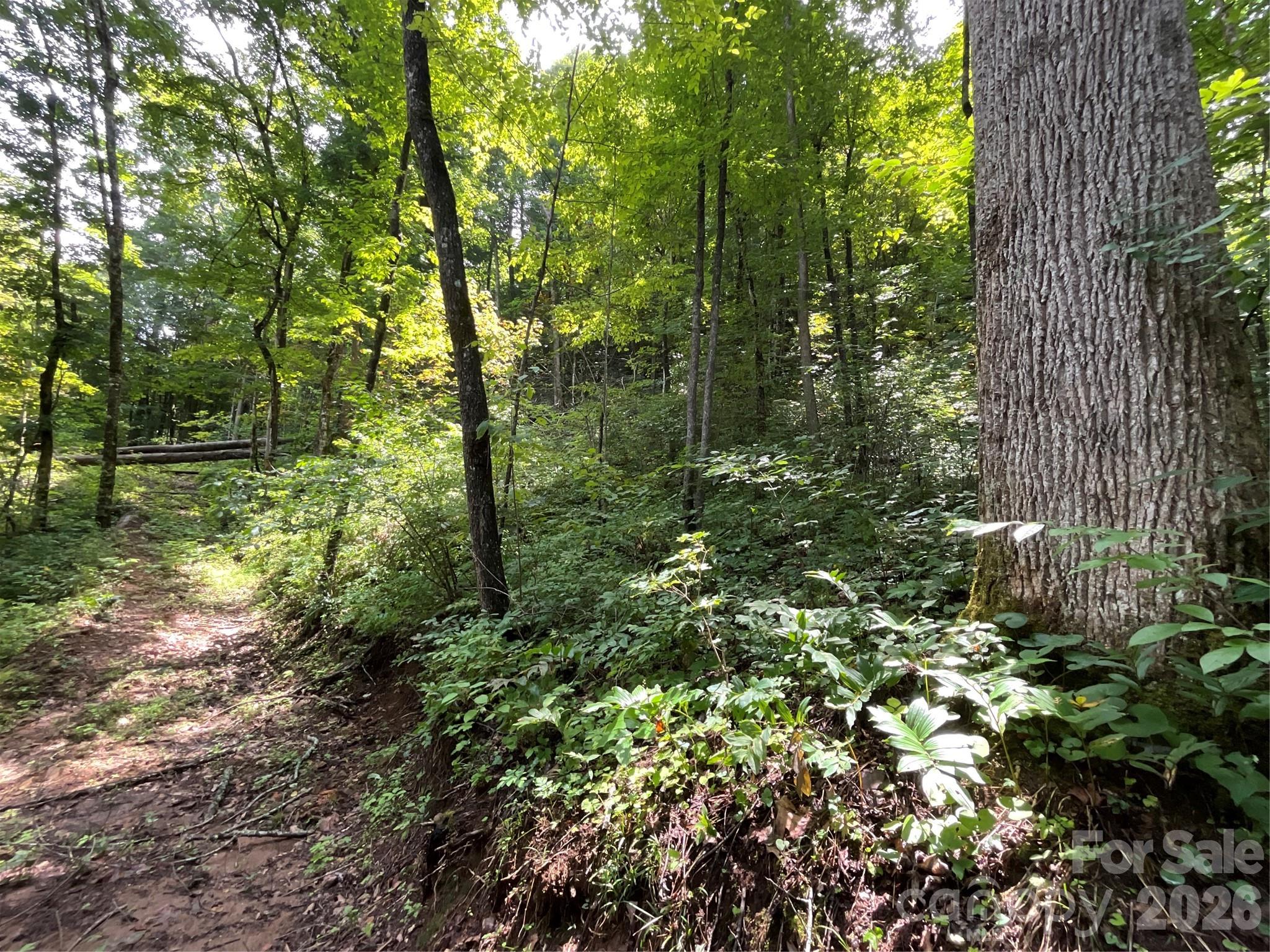 618 Dark Ridge Road Property Photo 8
