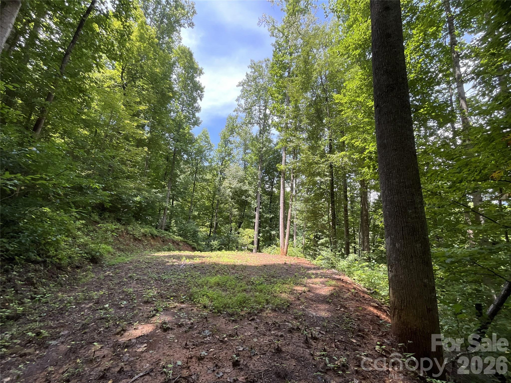 618 Dark Ridge Road Property Photo 10