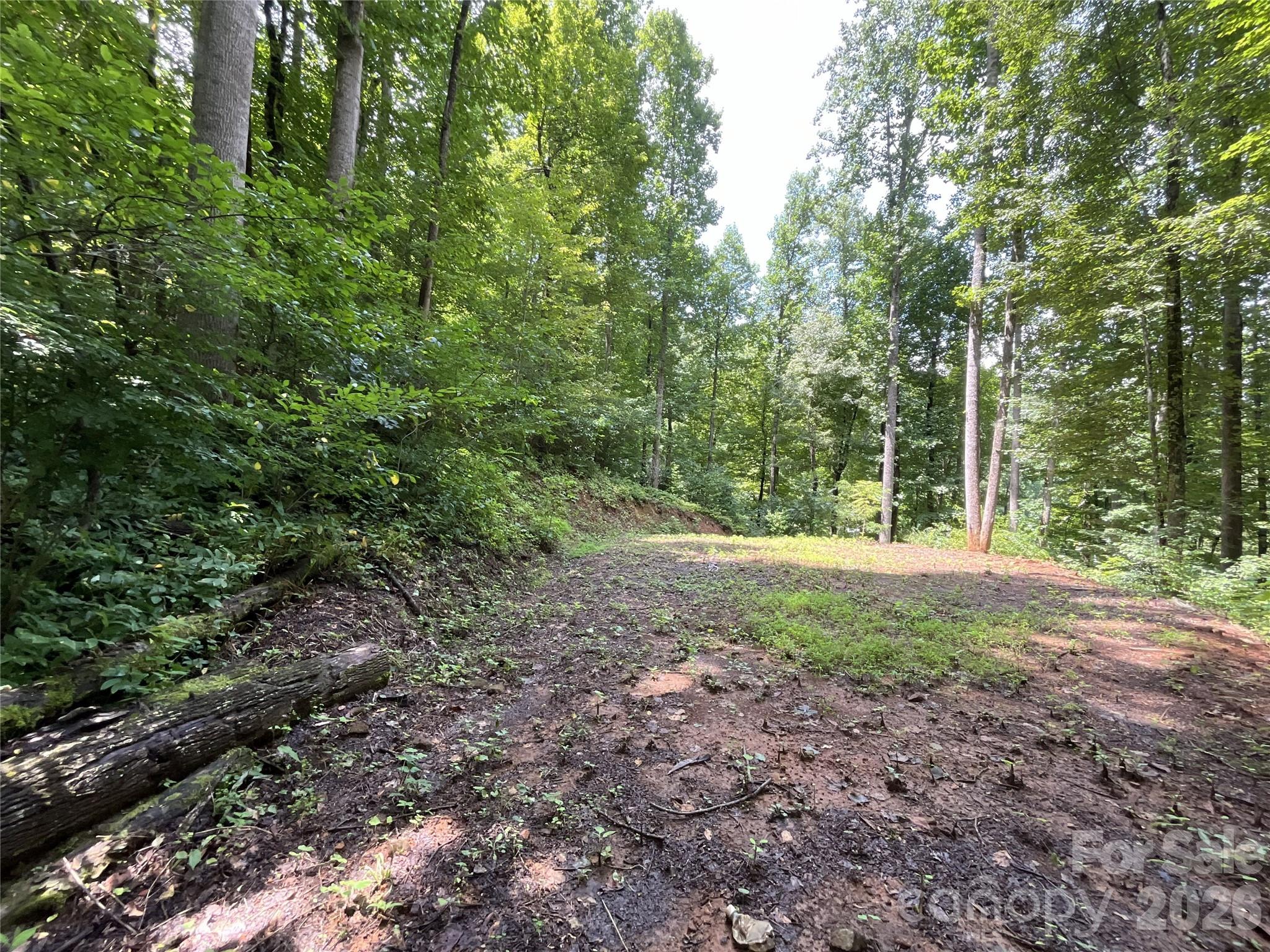 618 Dark Ridge Road Property Photo 11