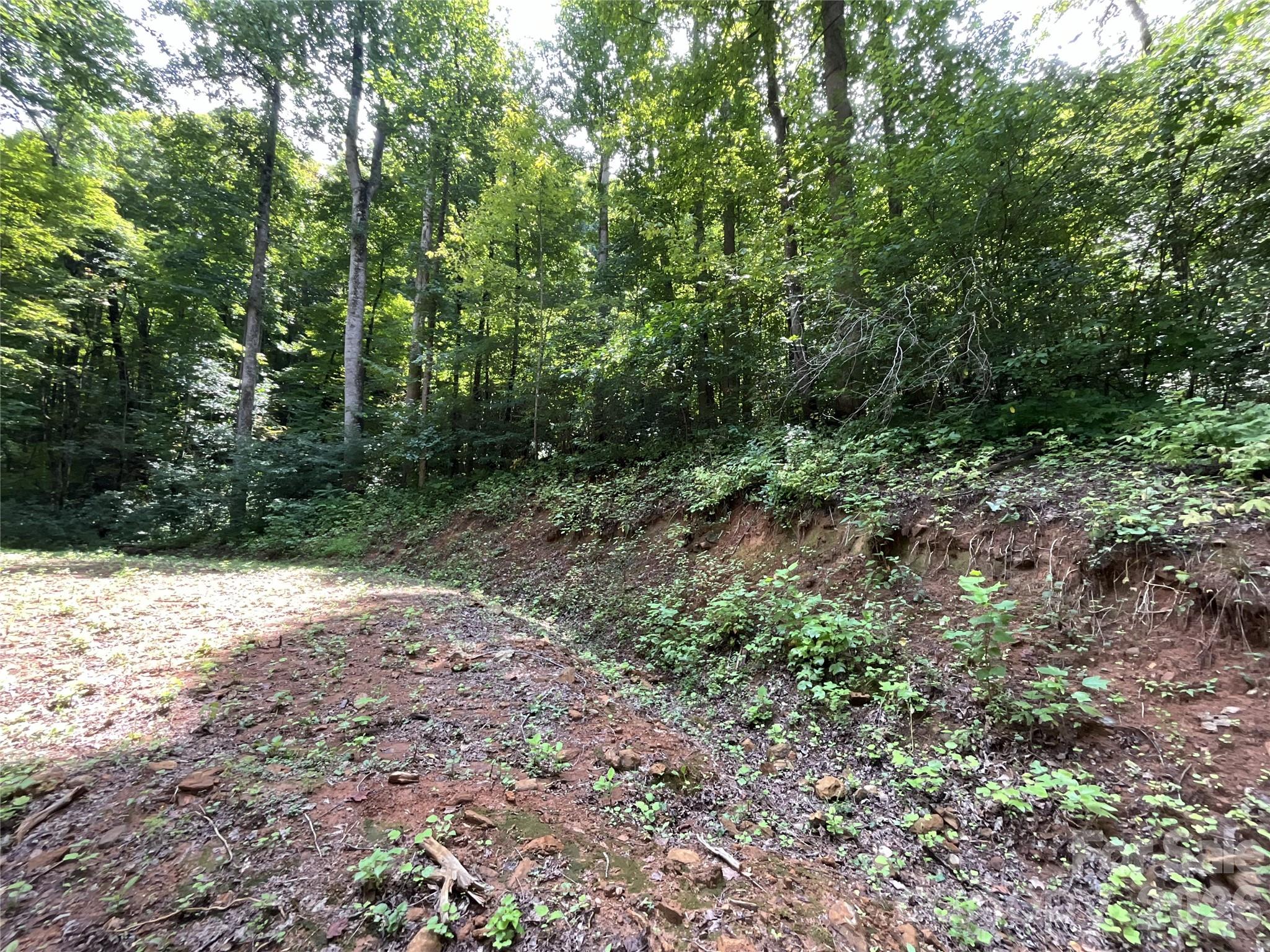 618 Dark Ridge Road Property Photo 13