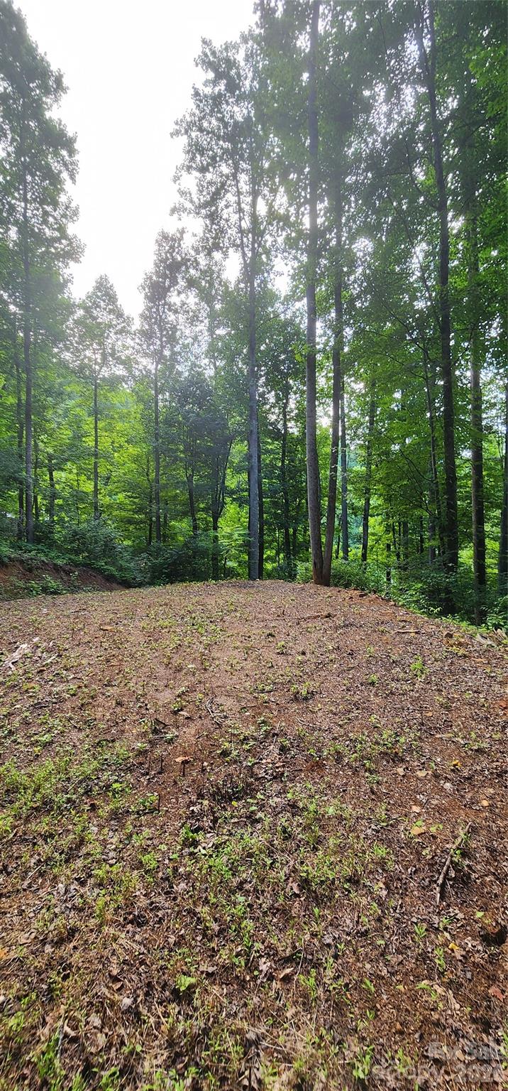 618 Dark Ridge Road Property Photo 14
