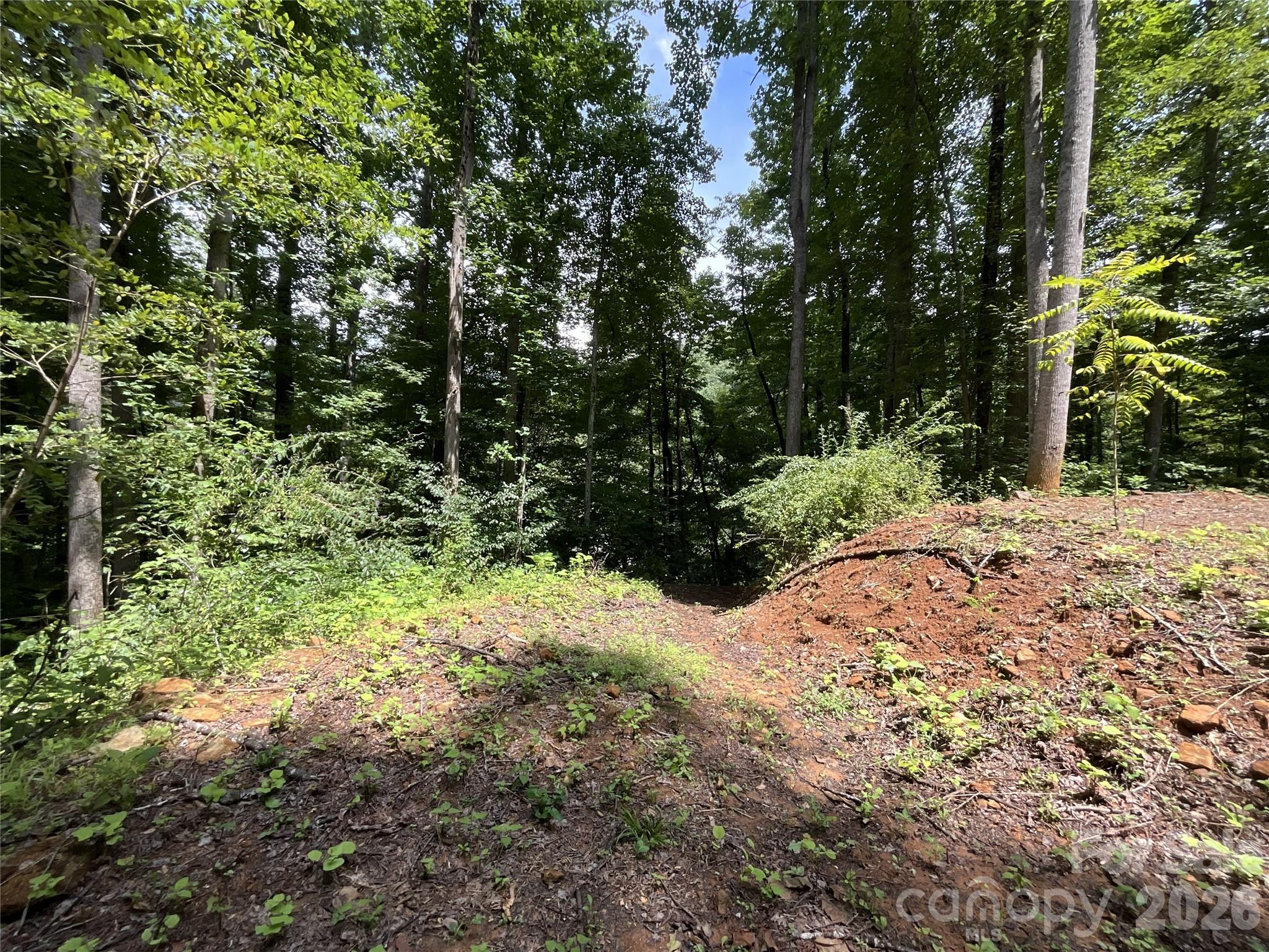 618 Dark Ridge Road Property Photo 15