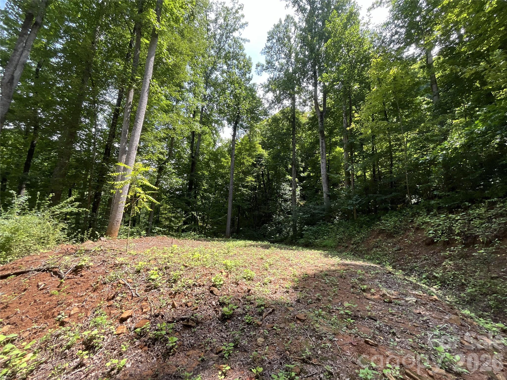 618 Dark Ridge Road Property Photo 16