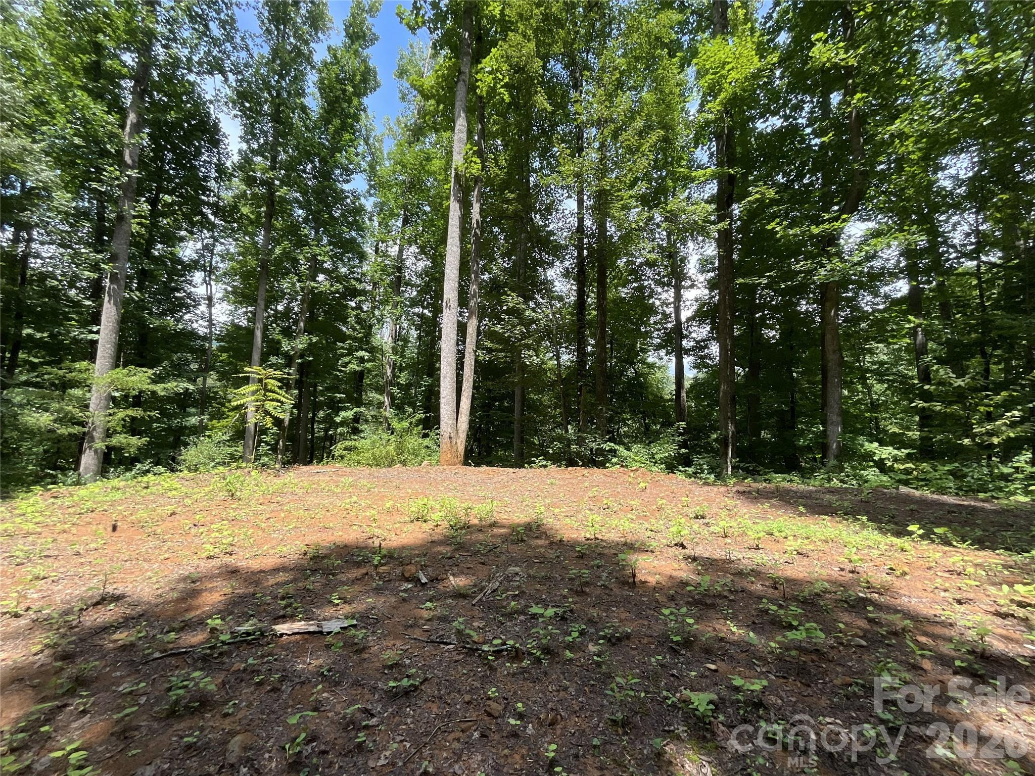 618 Dark Ridge Road Property Photo 17