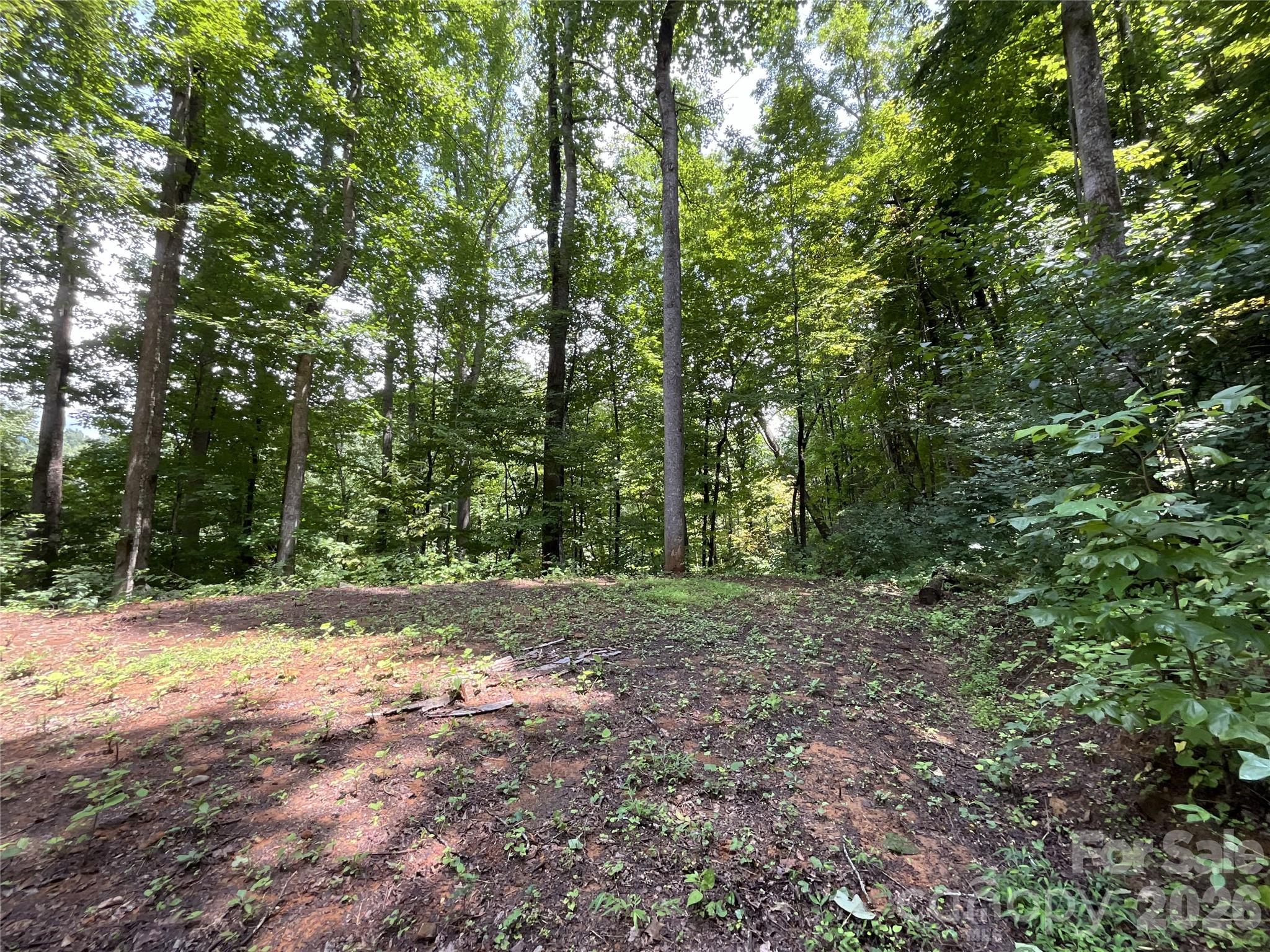 618 Dark Ridge Road Property Photo 18