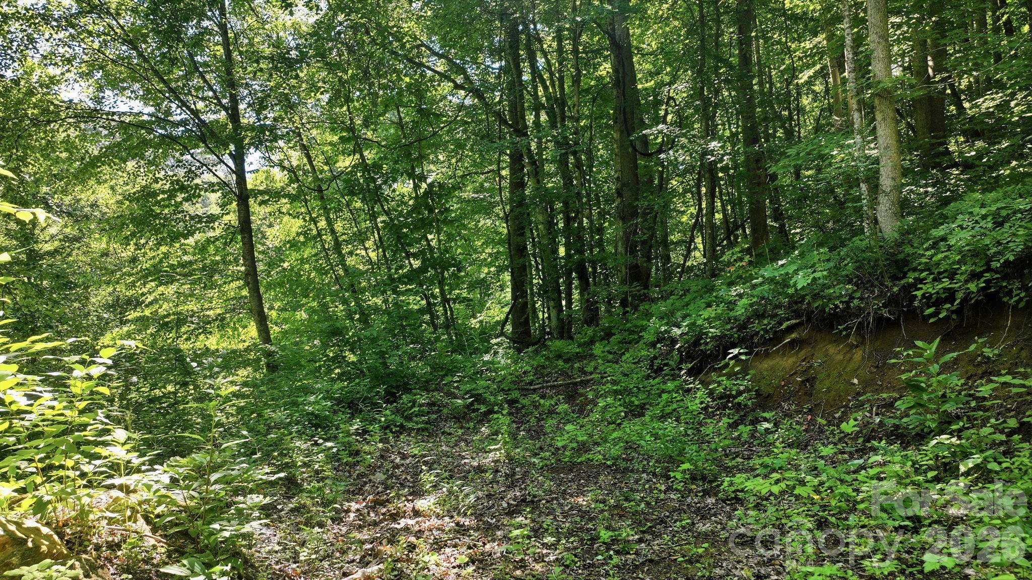 618 Dark Ridge Road Property Photo 20