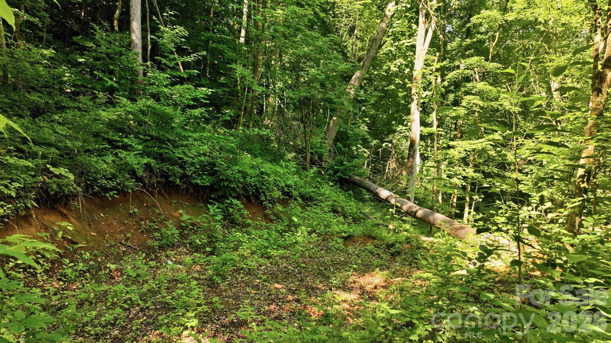 618 Dark Ridge Road Property Photo 21