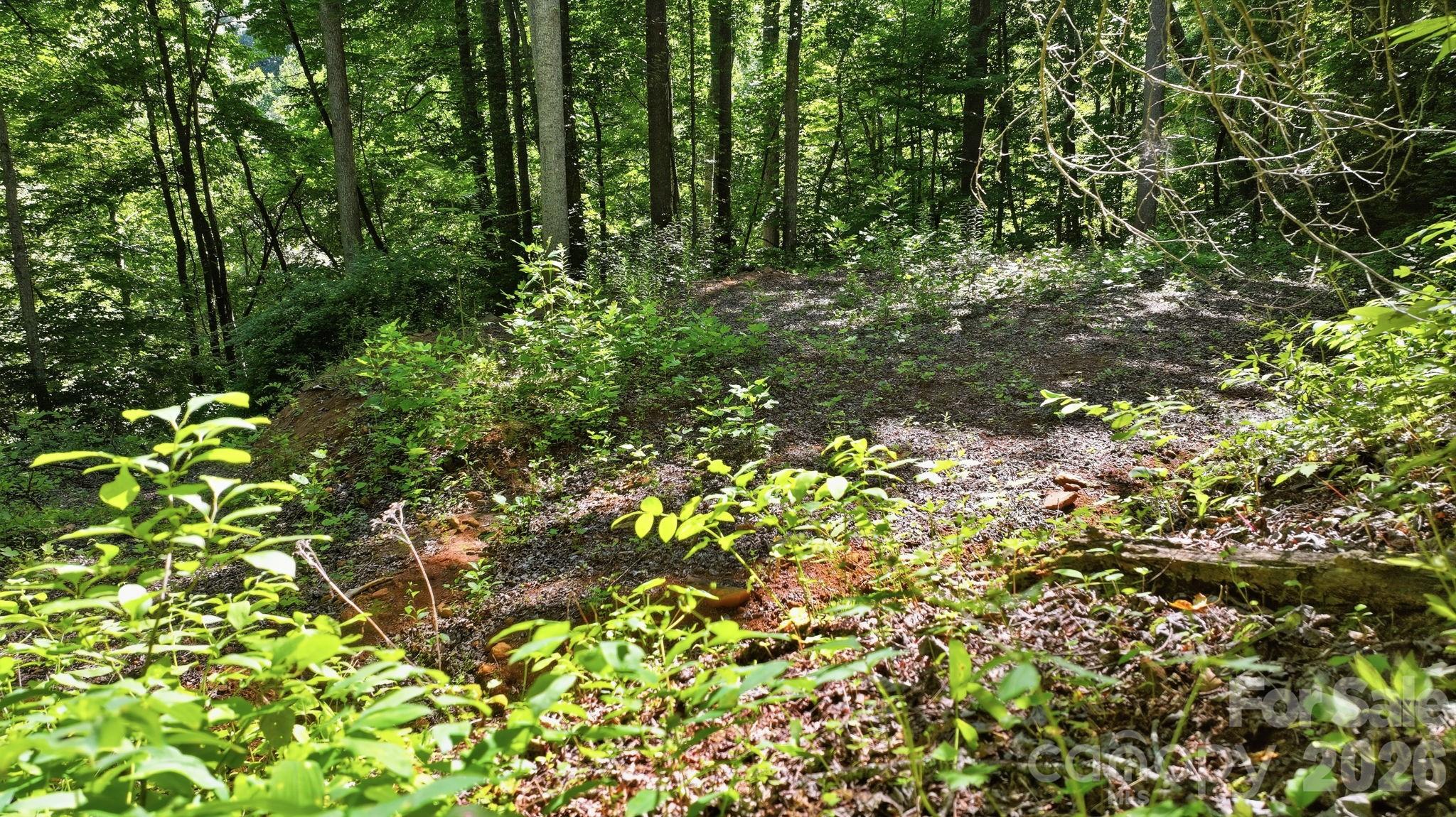 618 Dark Ridge Road Property Photo 26