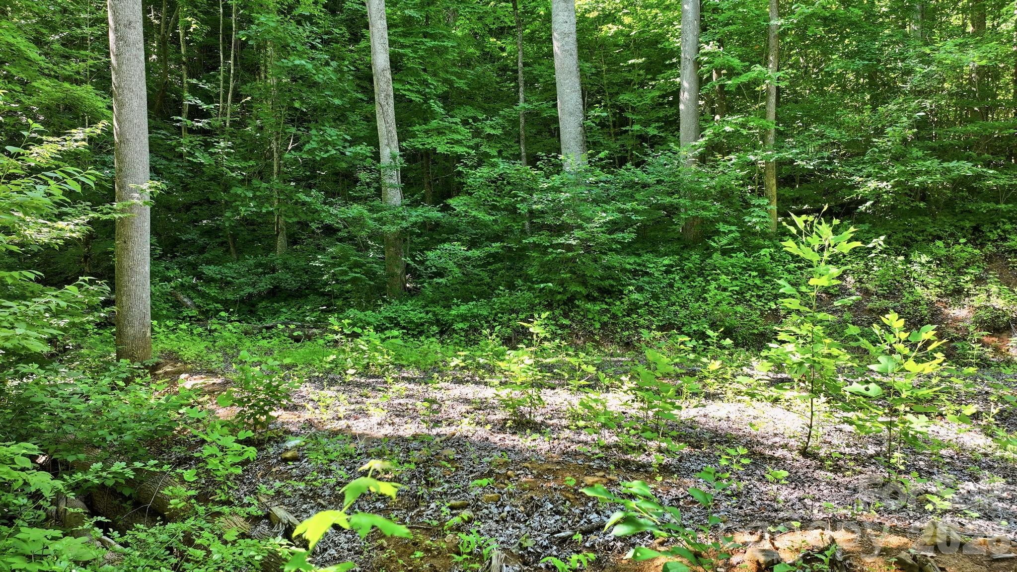 618 Dark Ridge Road Property Photo 27