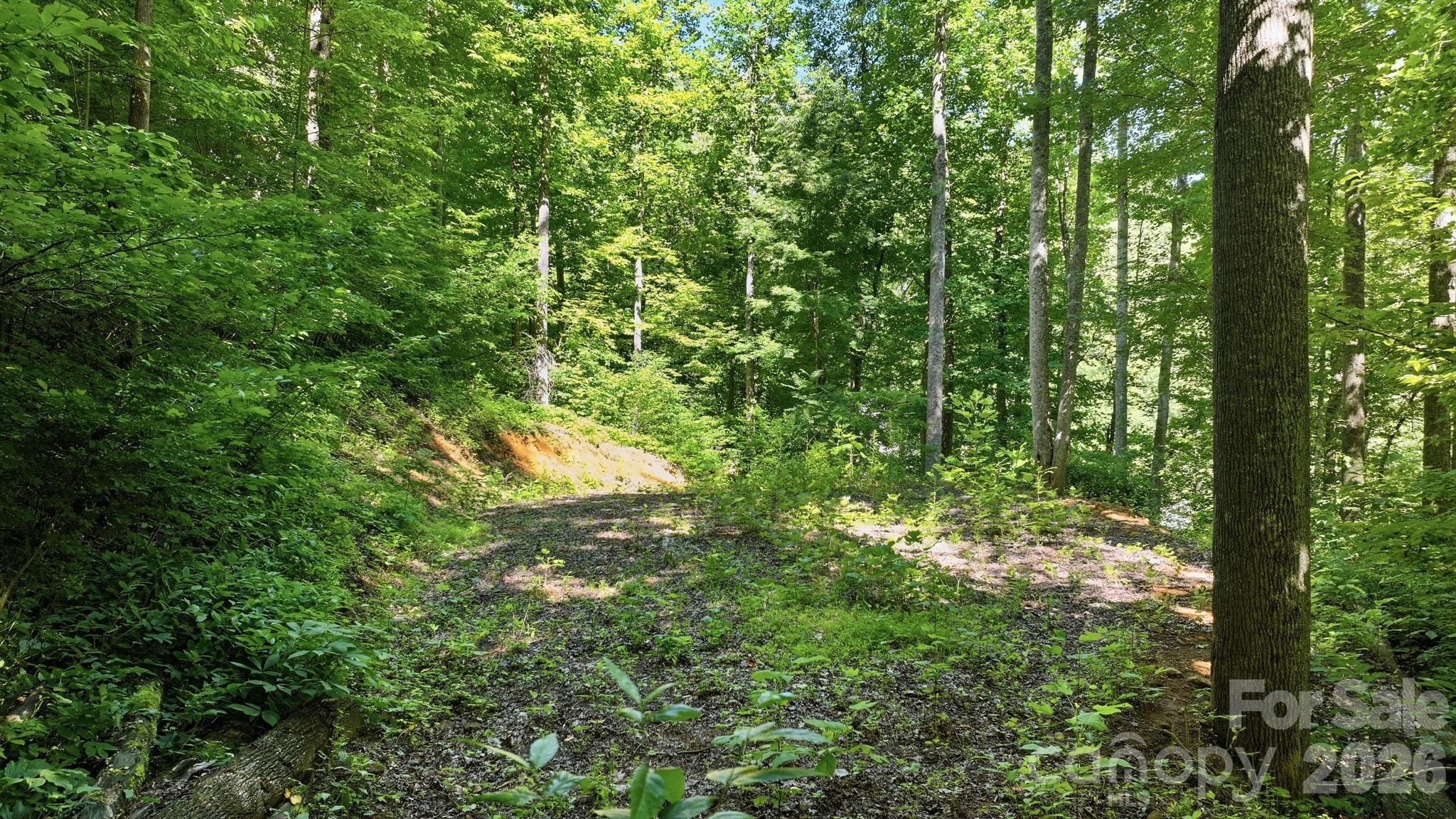 618 Dark Ridge Road Property Photo 28