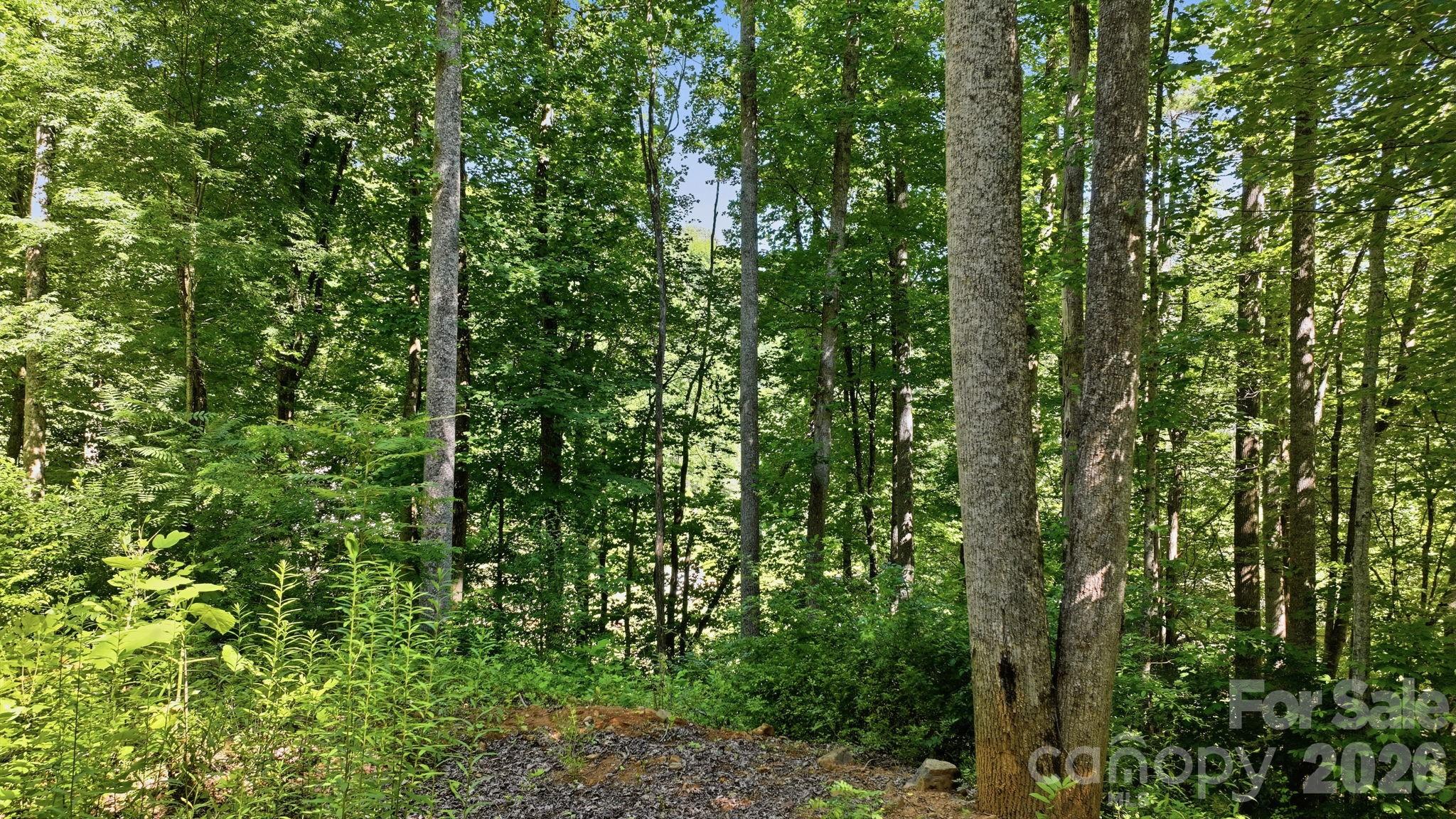 618 Dark Ridge Road Property Photo 29