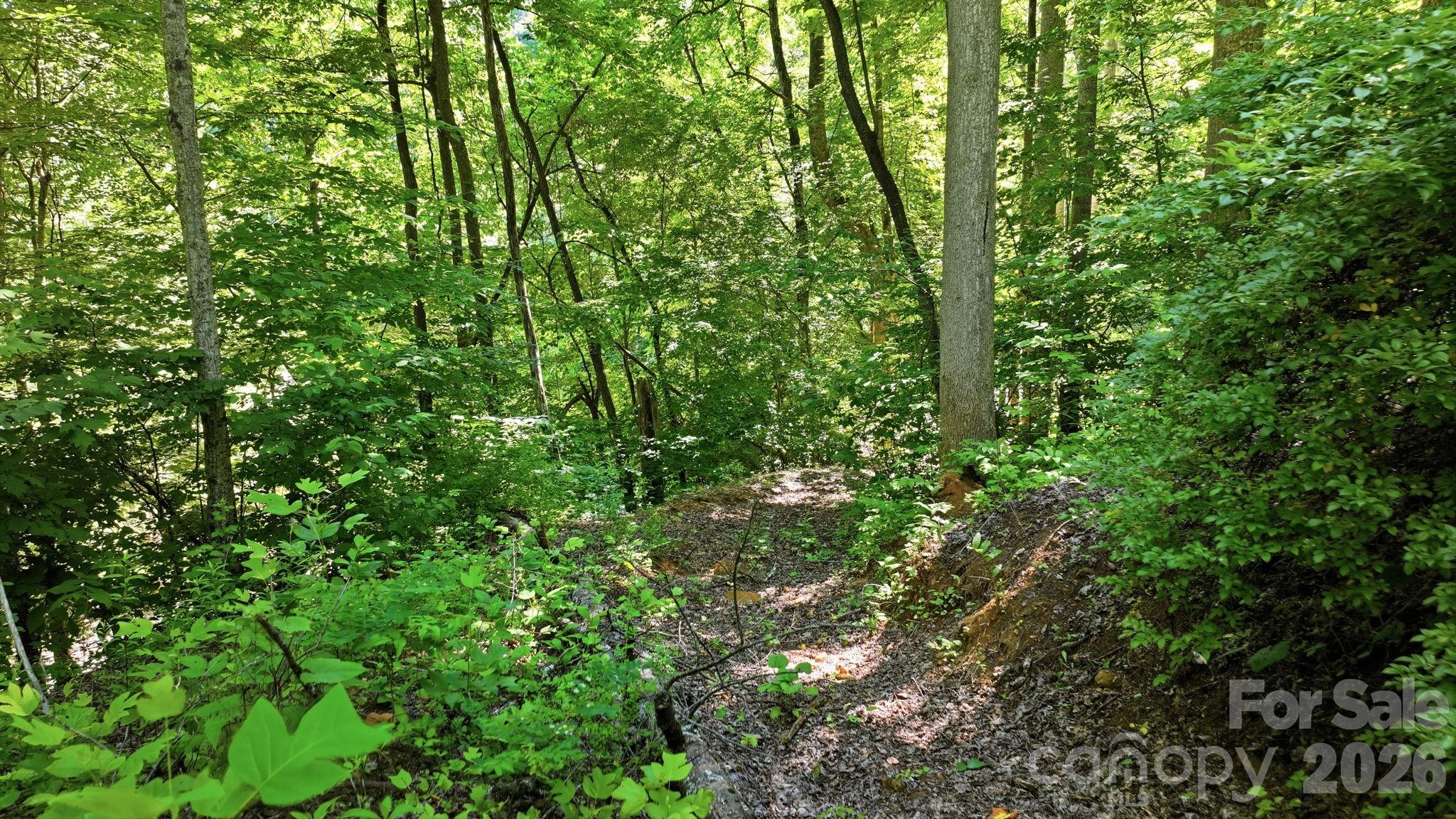 618 Dark Ridge Road Property Photo 30