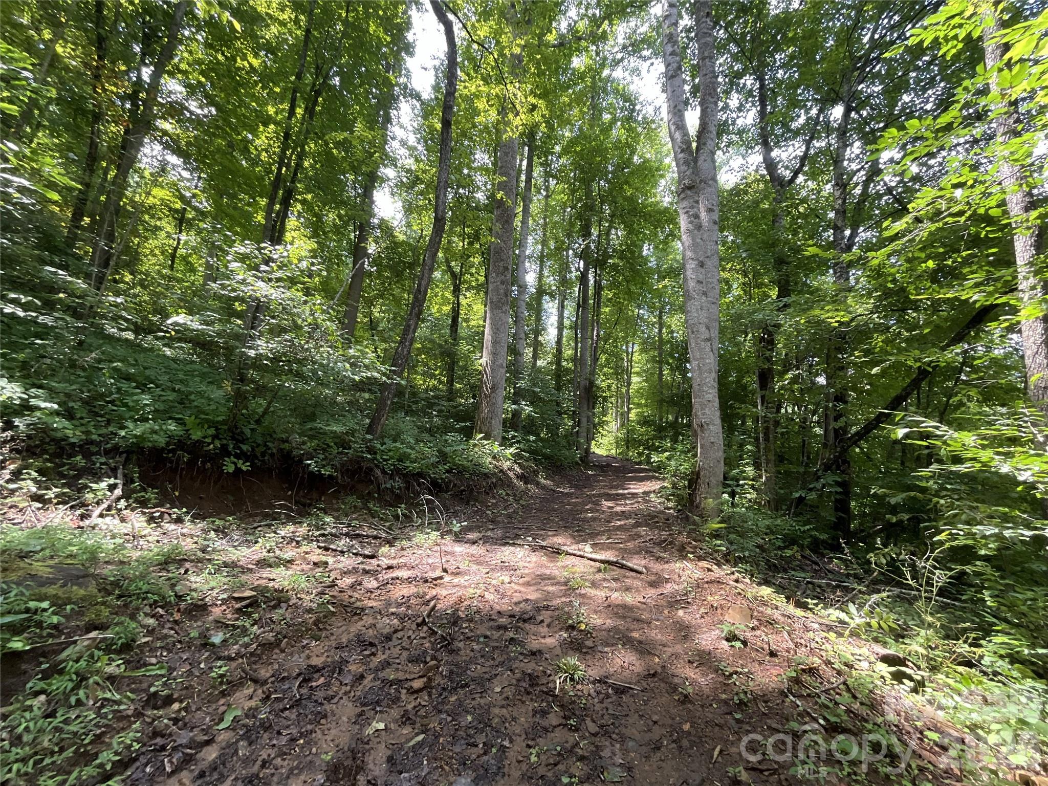618 Dark Ridge Road Property Photo 34