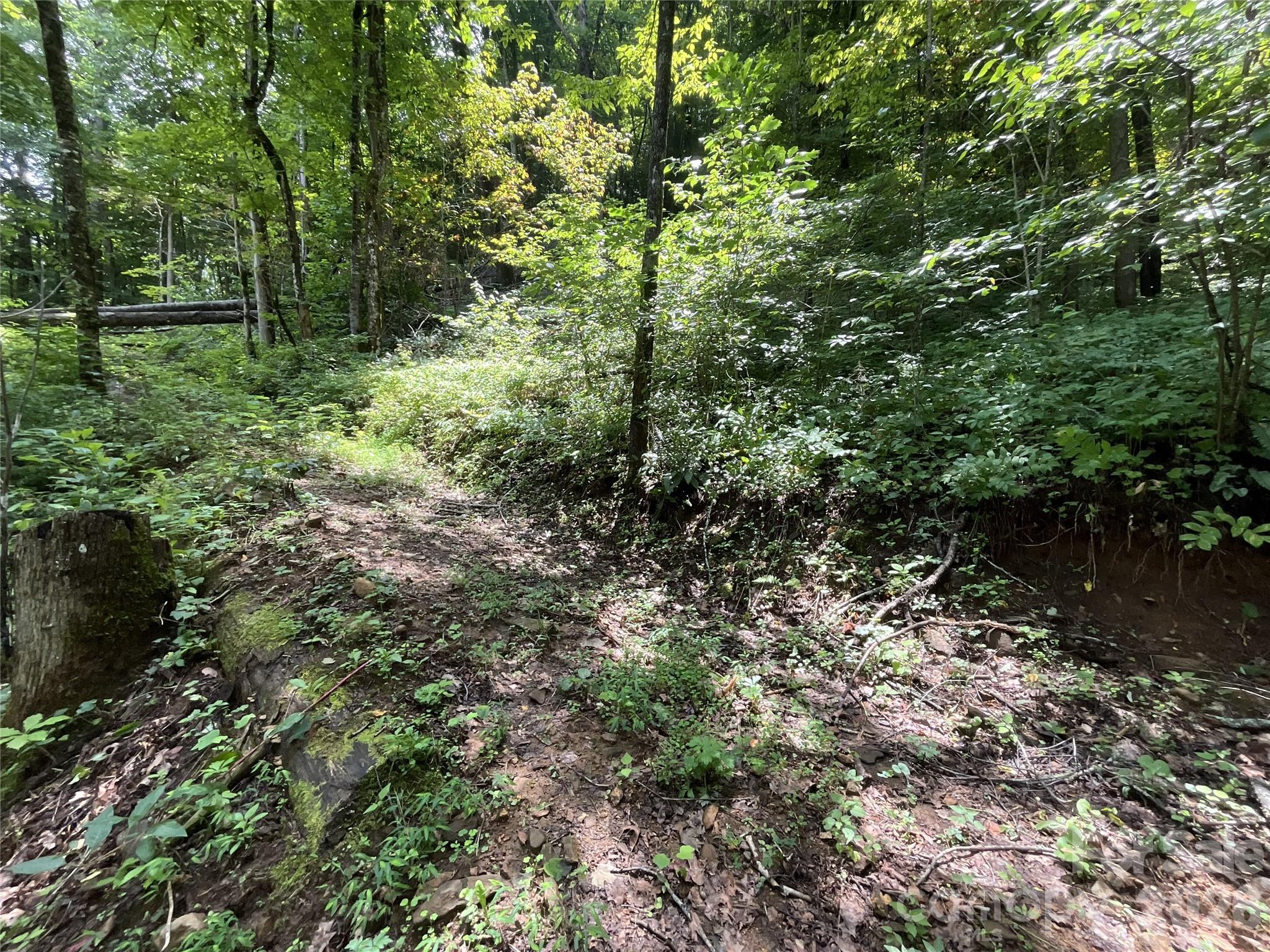 618 Dark Ridge Road Property Photo 35