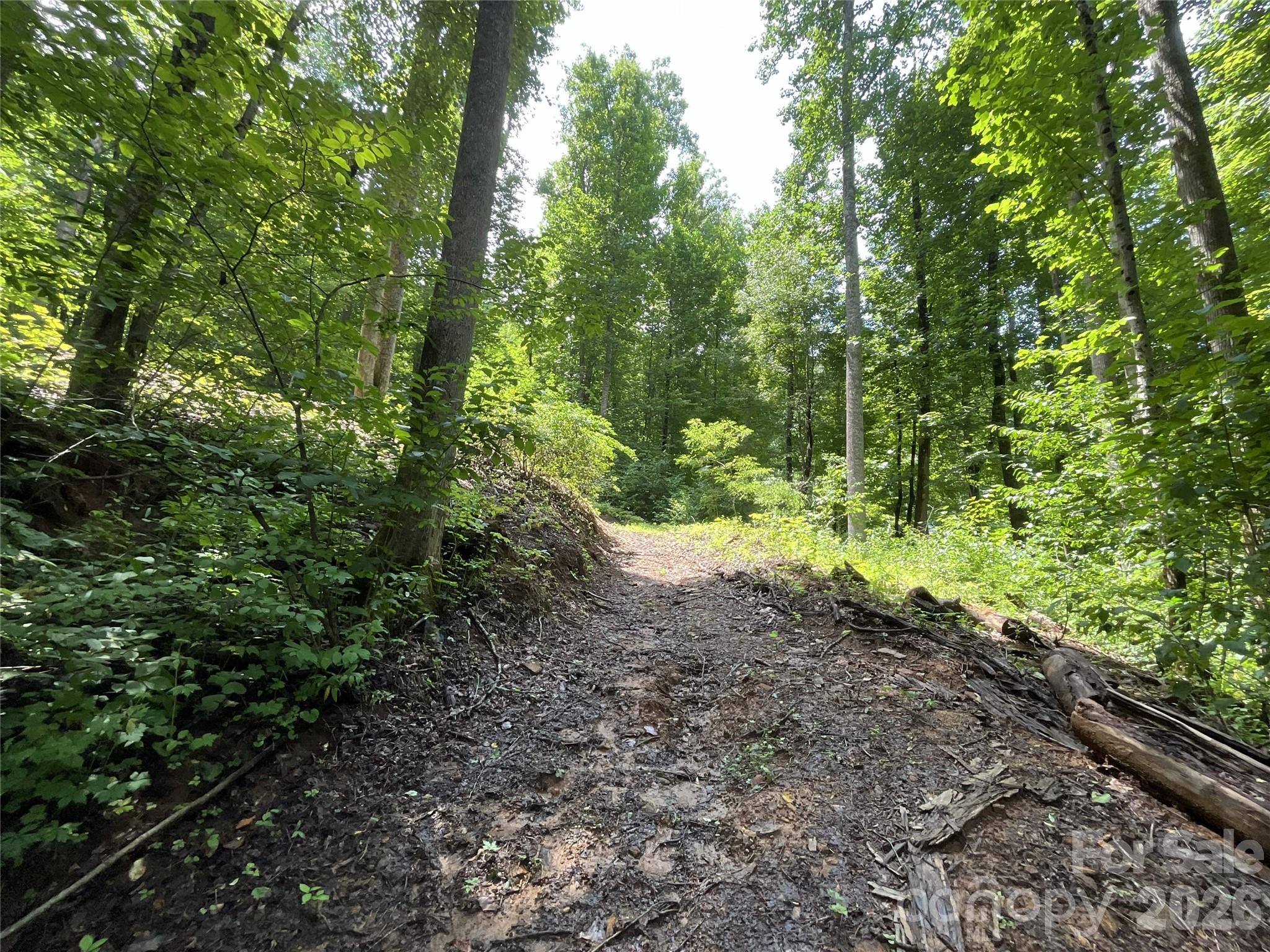 618 Dark Ridge Road Property Photo 36