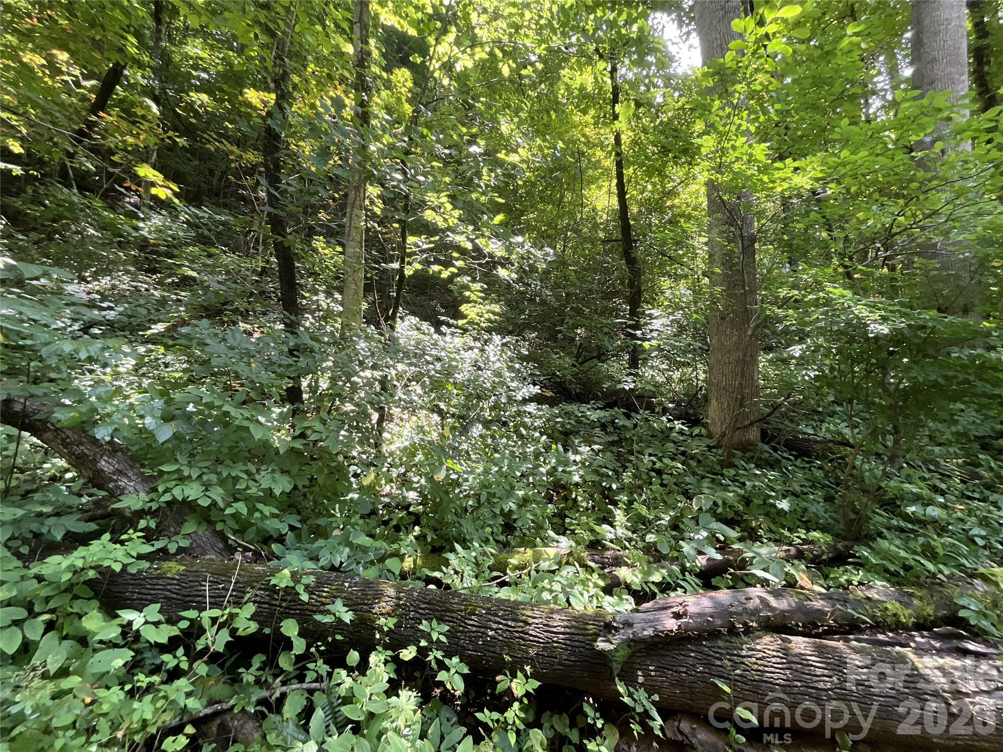 618 Dark Ridge Road Property Photo 38