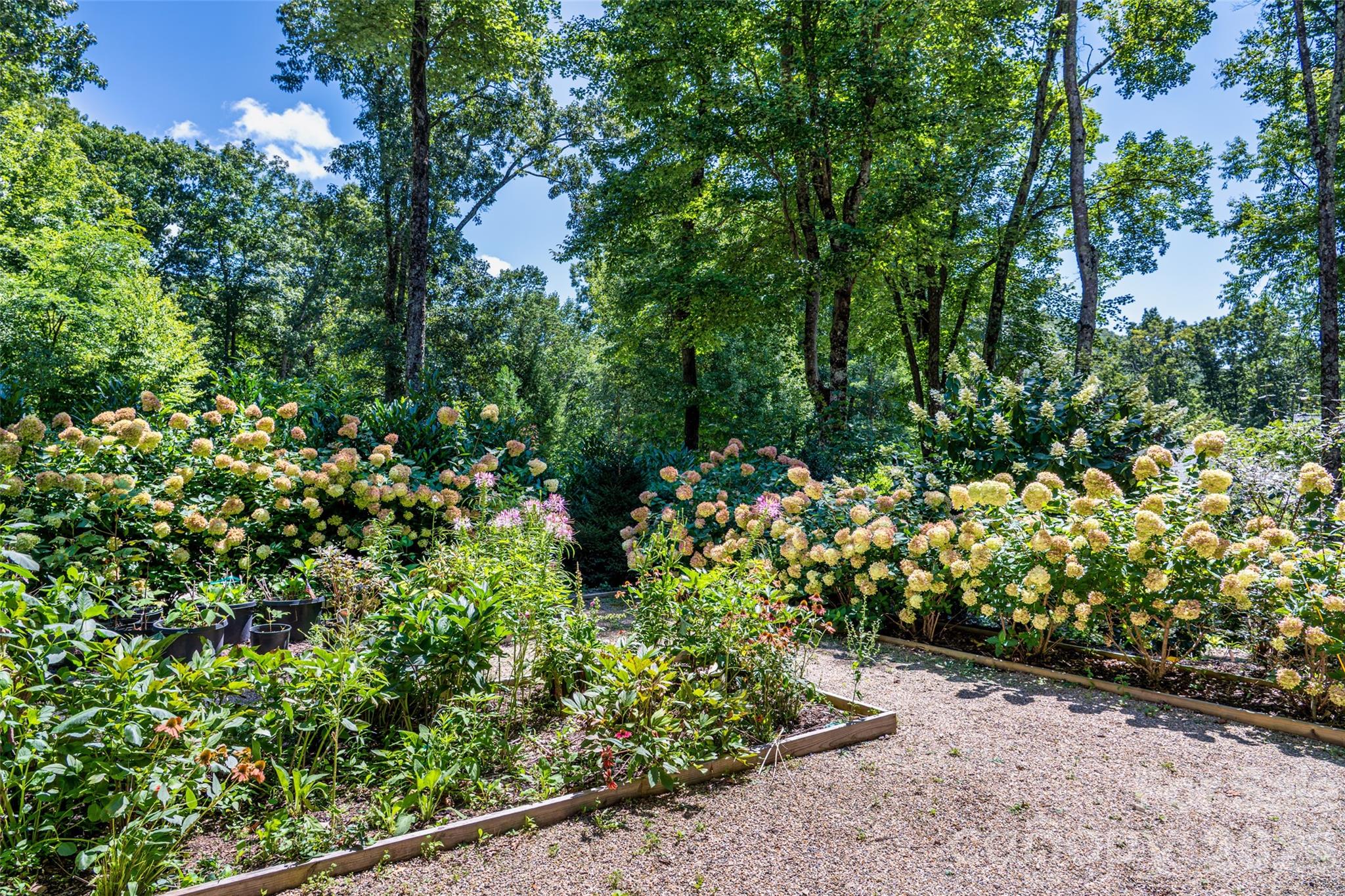 442 Autumn Sky Drive Property Photo 44