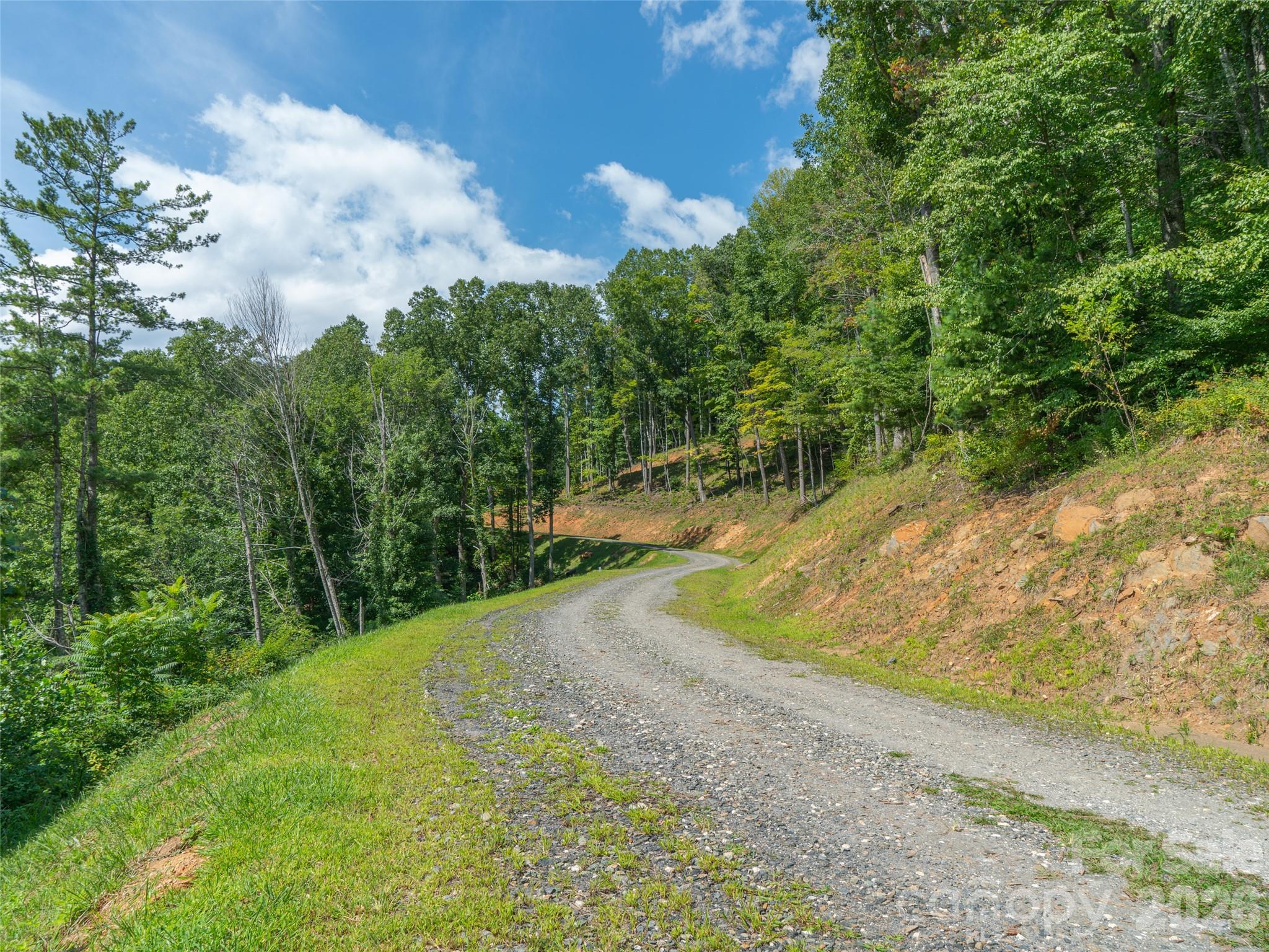 000 Locust Rough Mountain Road 5 Property Photo 1