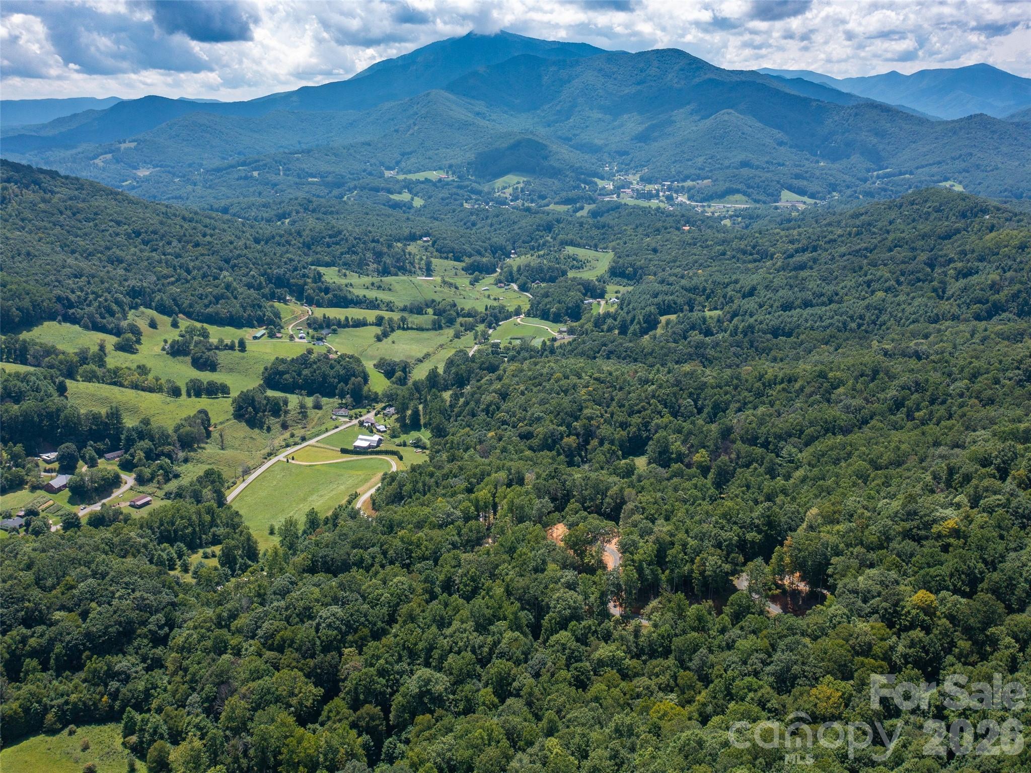 000 Locust Rough Mountain Road Lot 6 Property Photo 2