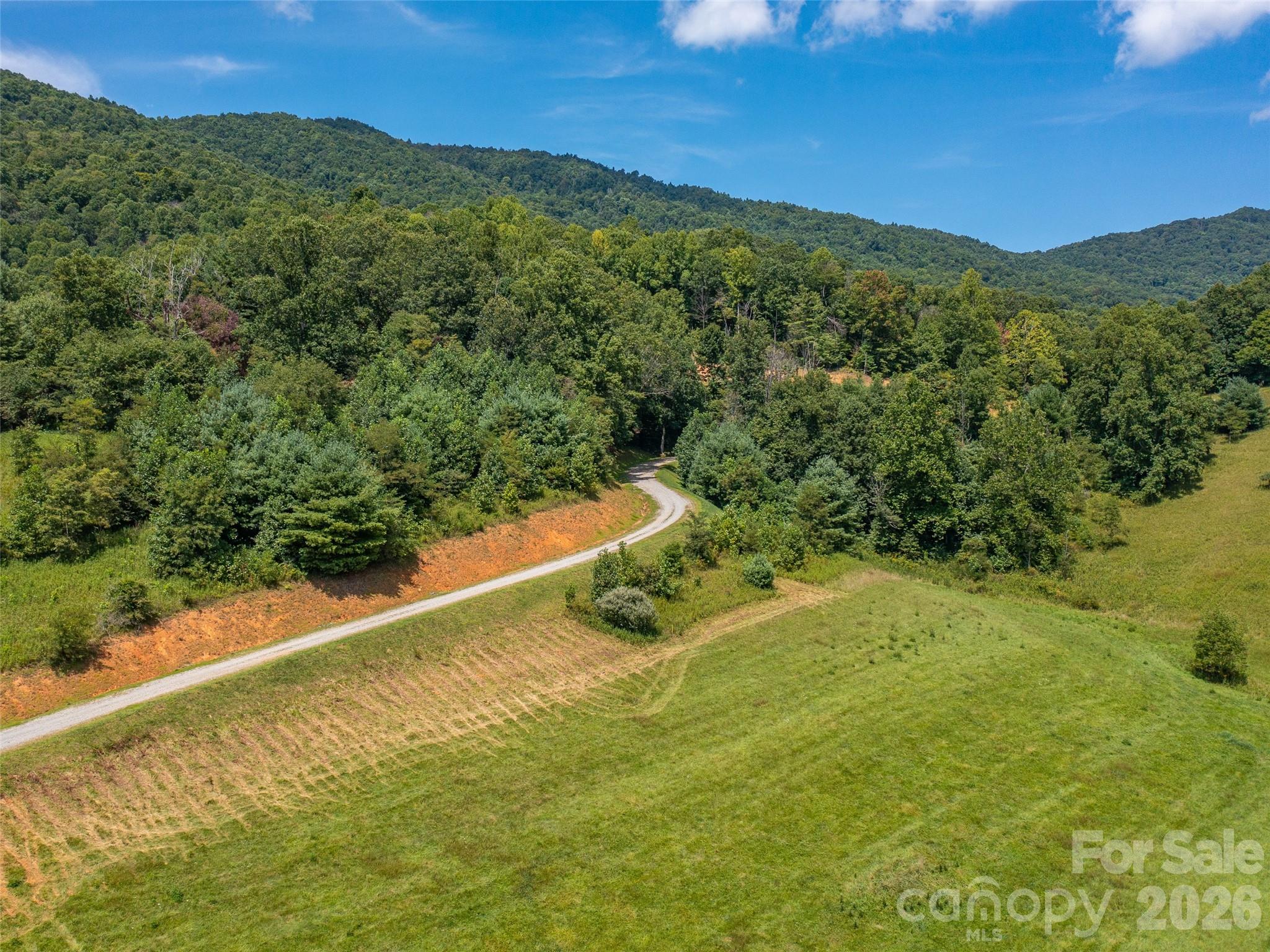 000 Locust Rough Mountain Road Lot 6 Property Photo 5