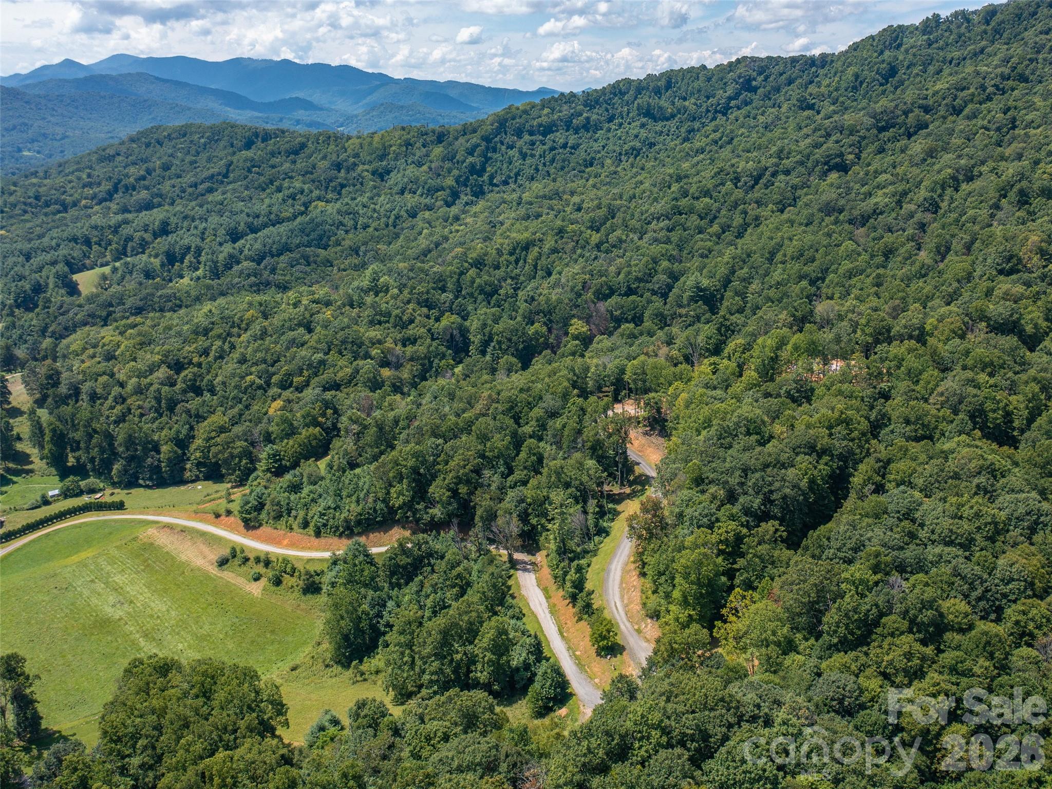 000 Locust Rough Mountain Road Lot 6 Property Photo 10