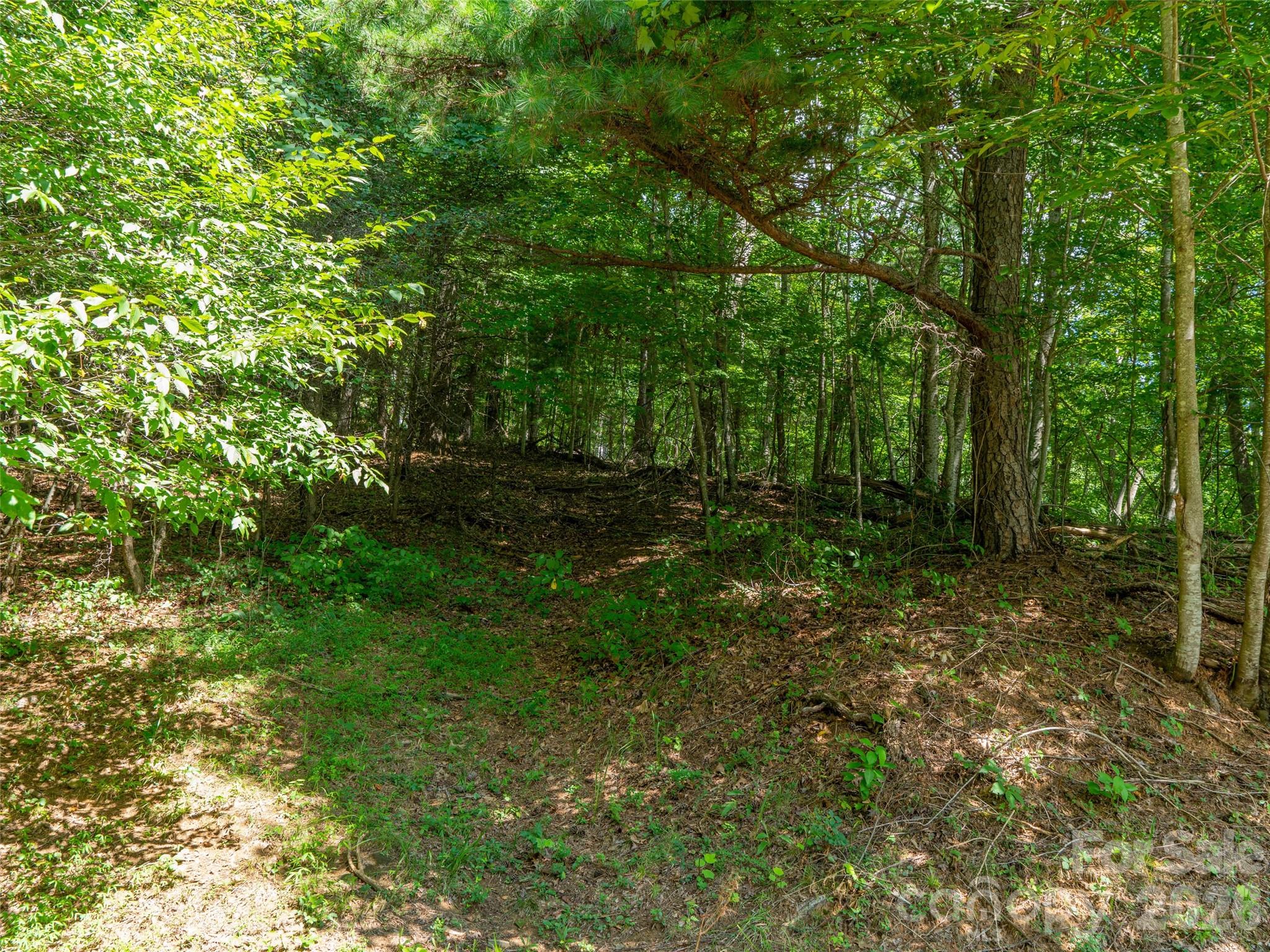000 Locust Rough Mountain Road Lot 6 Property Photo 19