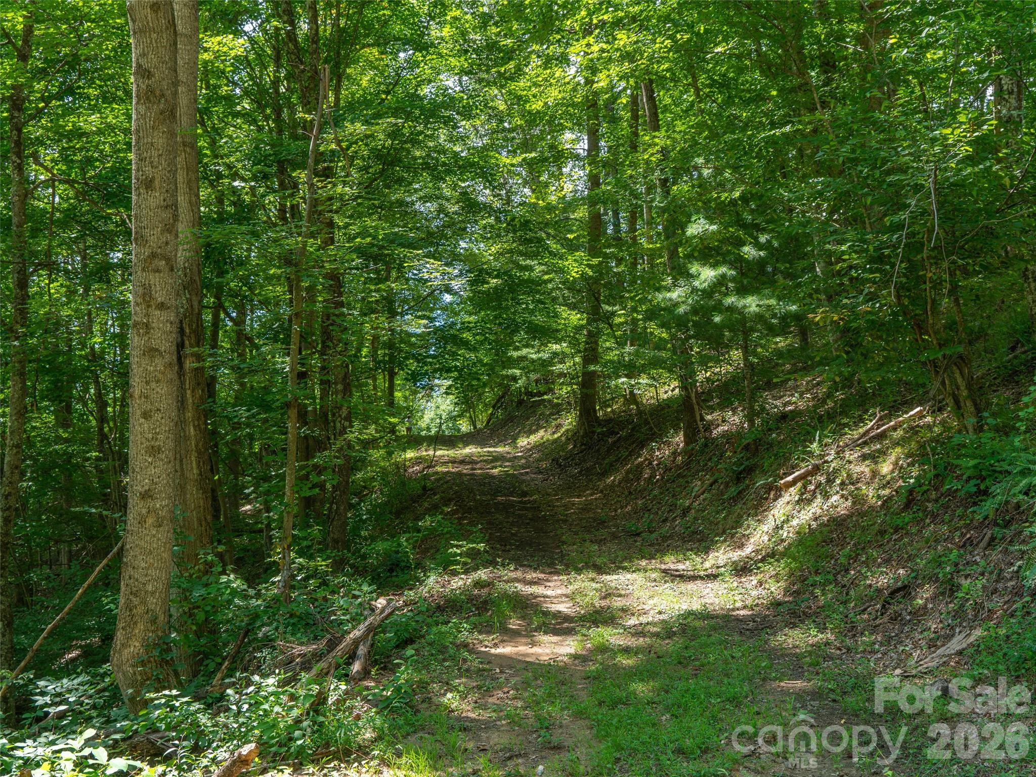 000 Locust Rough Mountain Road Lot 6 Property Photo 21