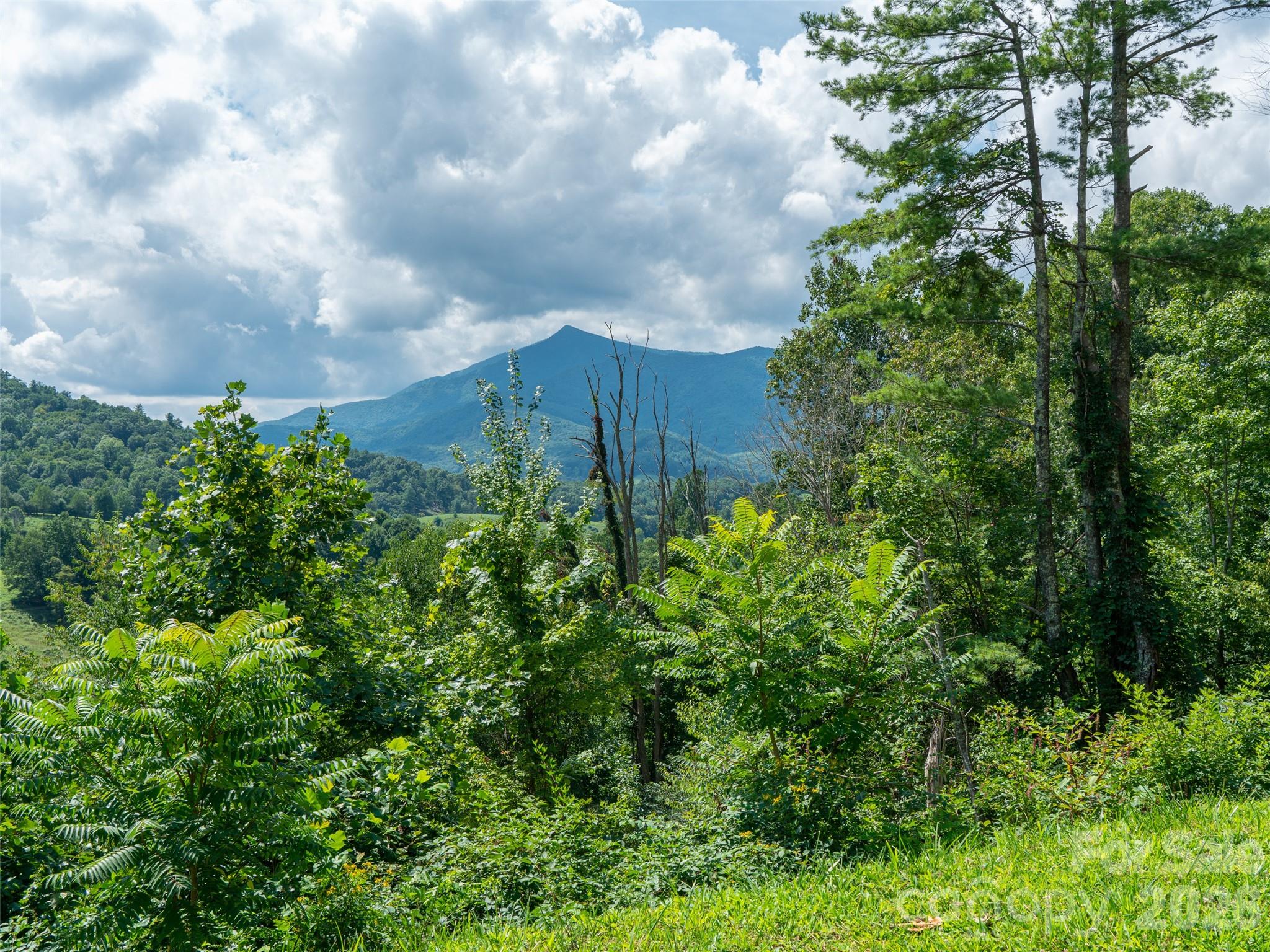 000 Locust Rough Mountain Road Lot 6 Property Photo 24