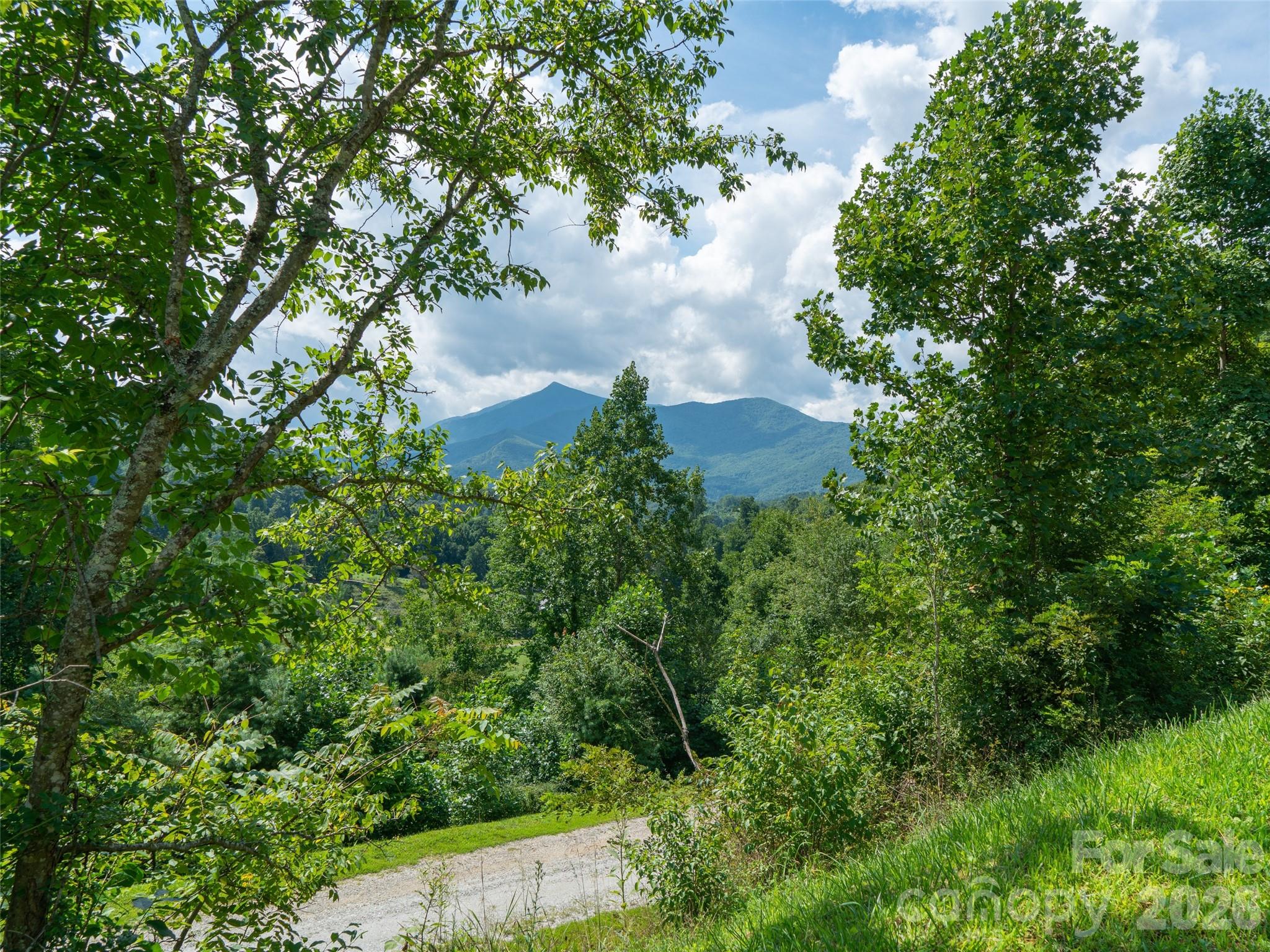 000 Locust Rough Mountain Road Lot 6 Property Photo 26