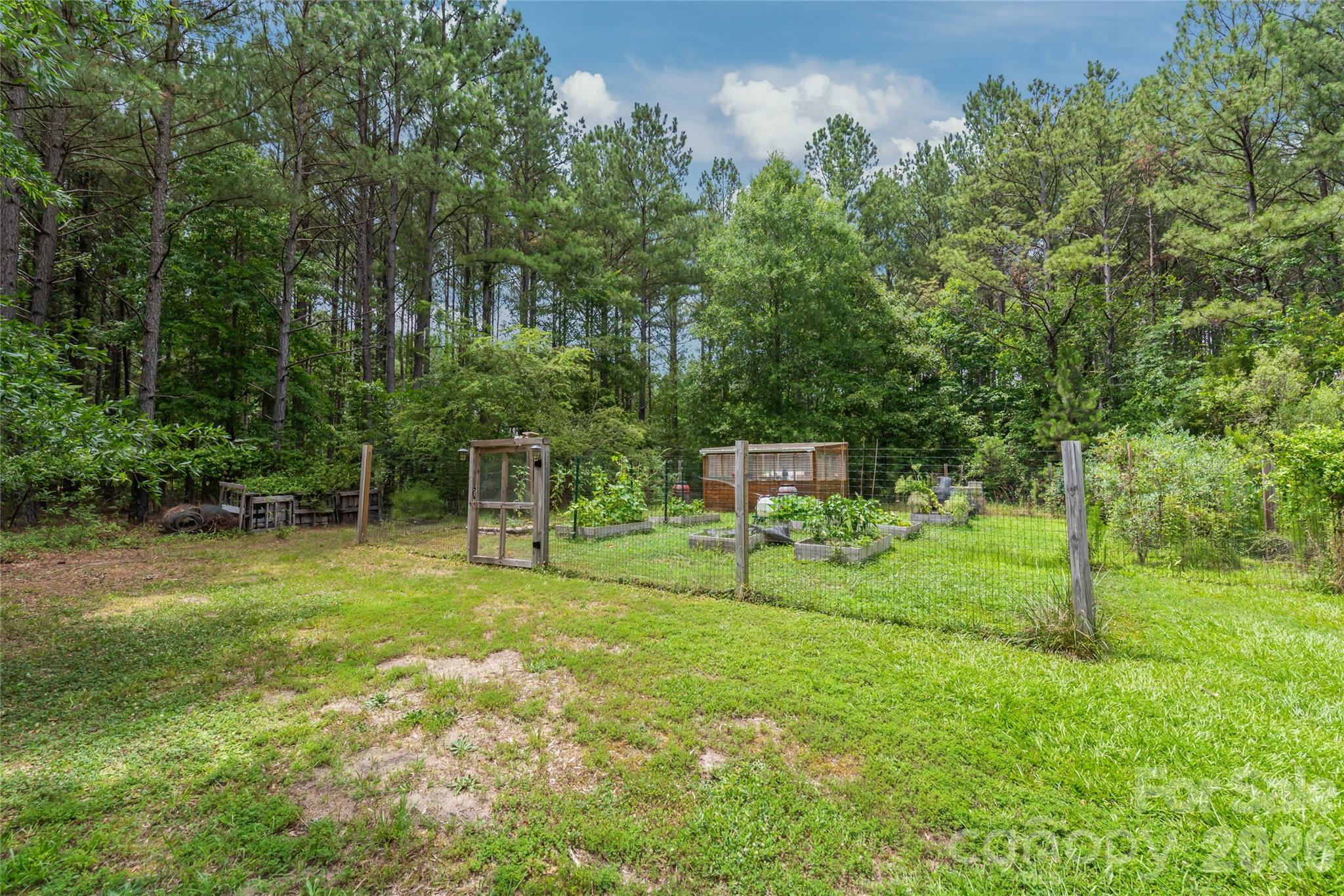 1241 Sierra Road 20 Property Photo 5