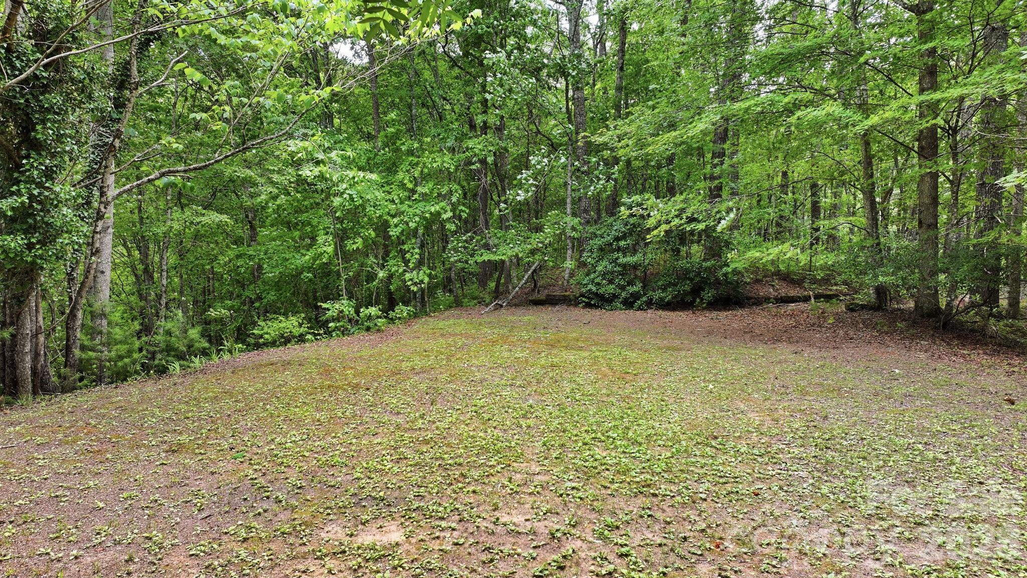 11150 Highway 19w Highway Property Photo 34