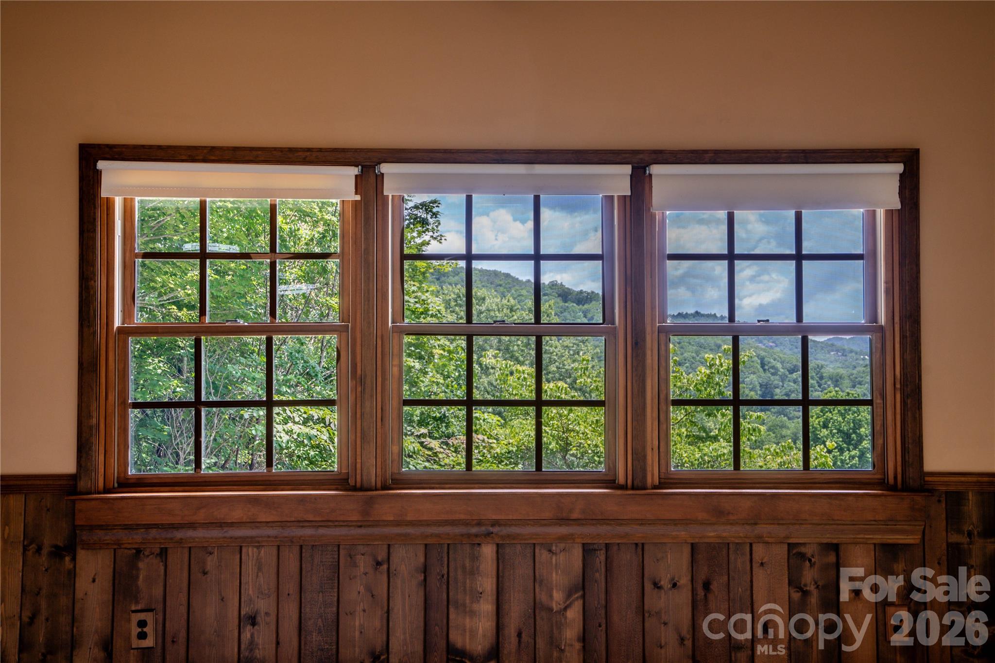 45 Mountain View Avenue Property Photo 14